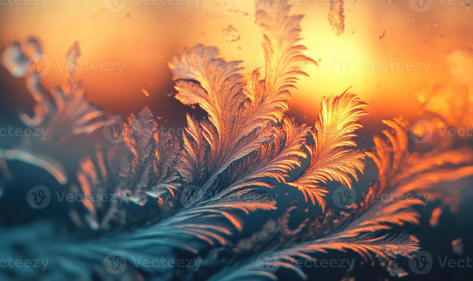 A close up of a frosty leaf with a warm orange sunset in the background photo