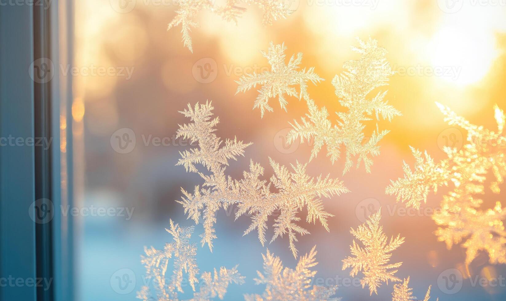 A window with frosted glass and a view of the outside photo