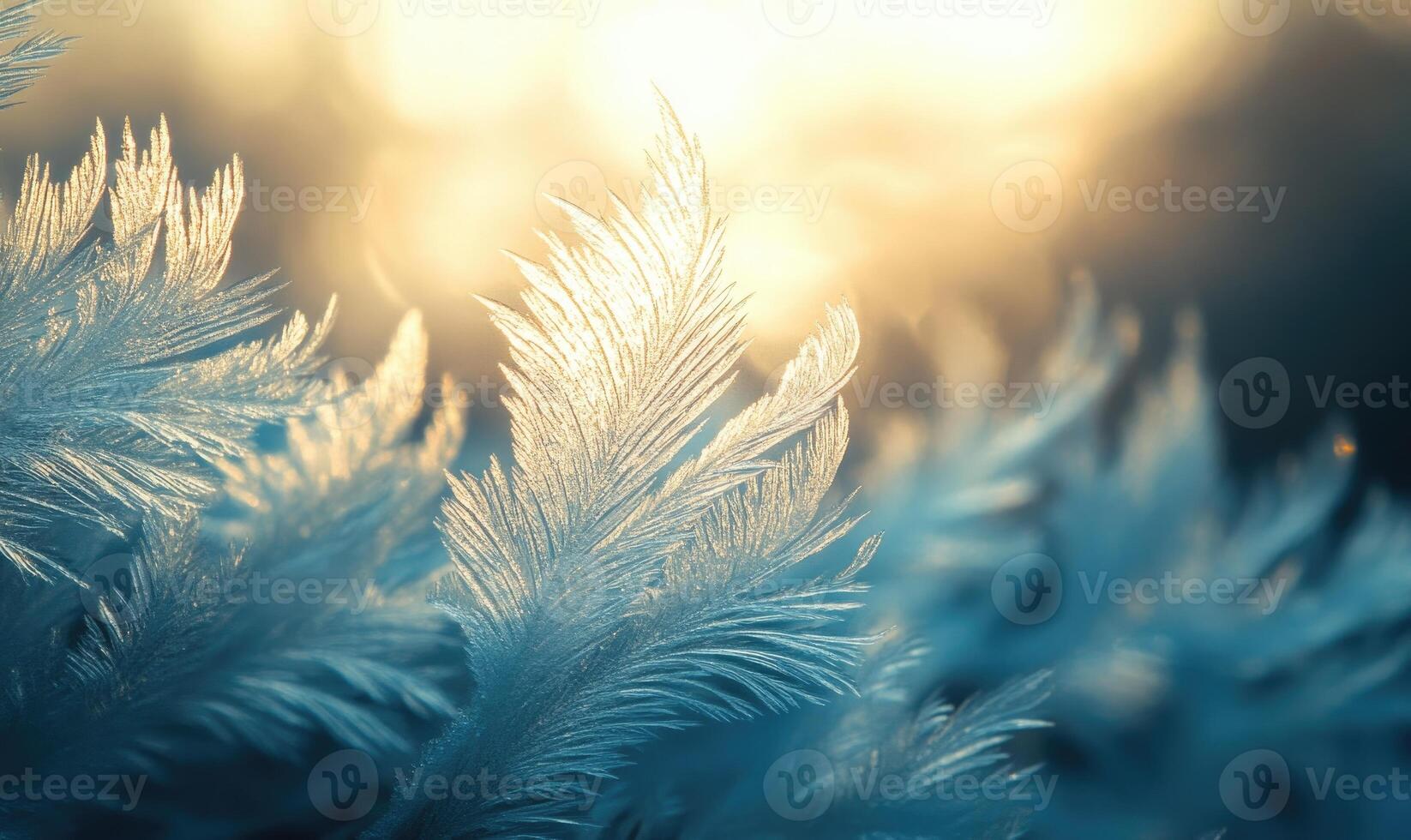 A close up of a feathery plant with frost on it photo