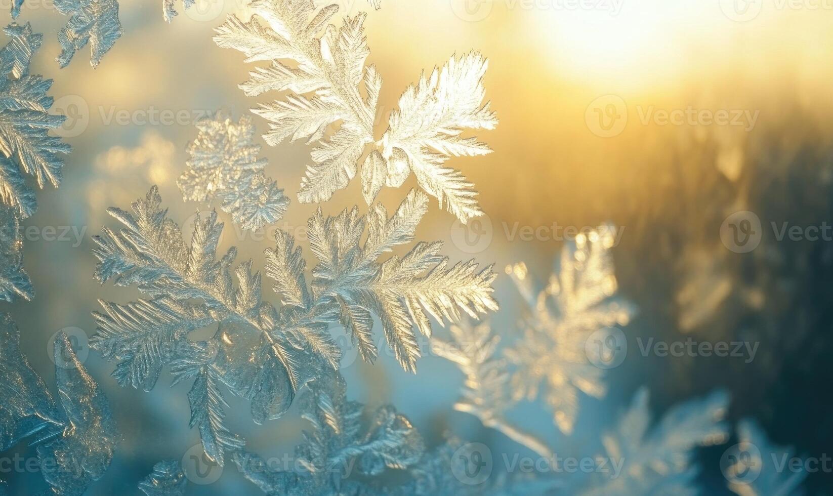 A close up of a snowflake with a sun in the background photo