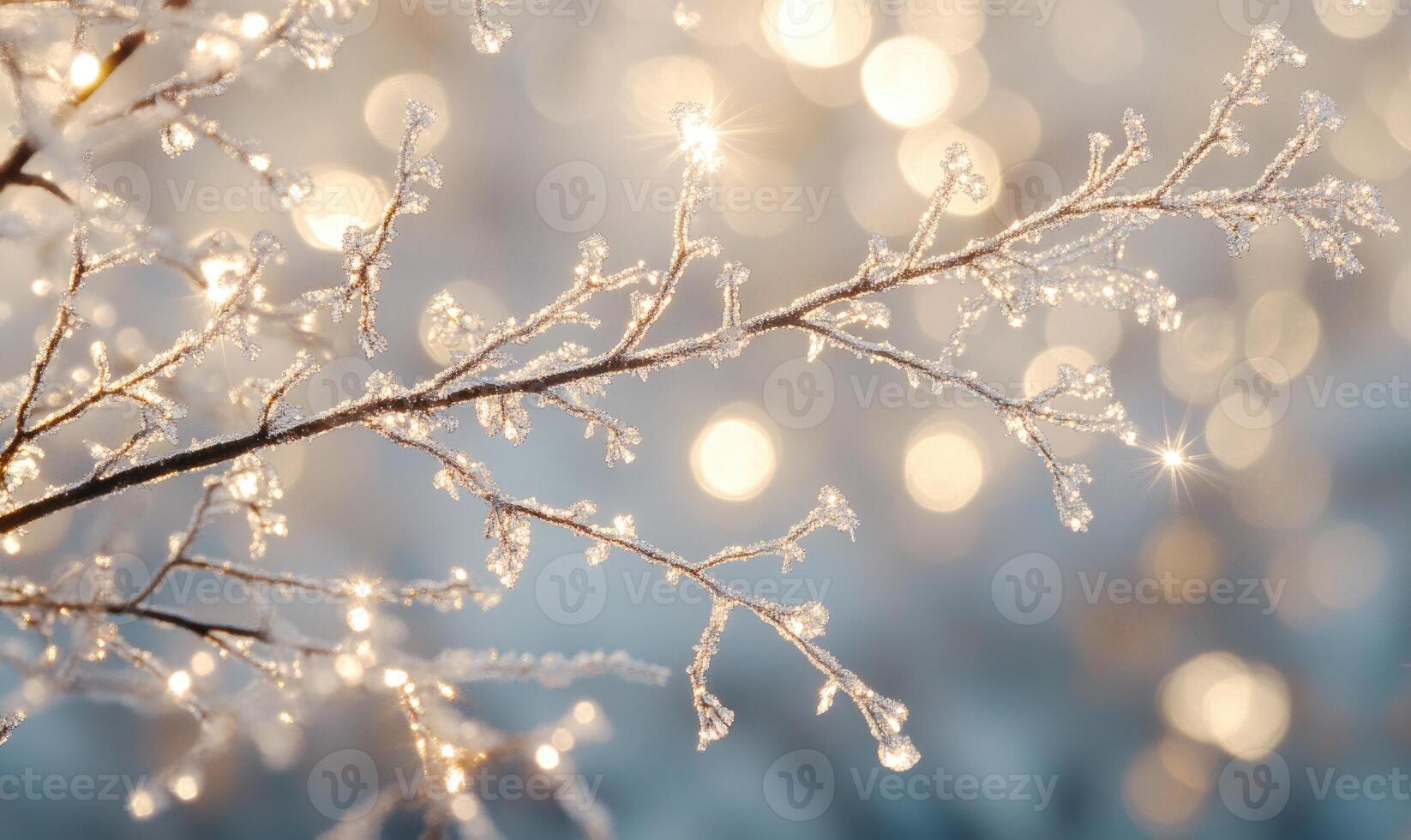 A branch covered in frost and snow with a bright light shining on it photo
