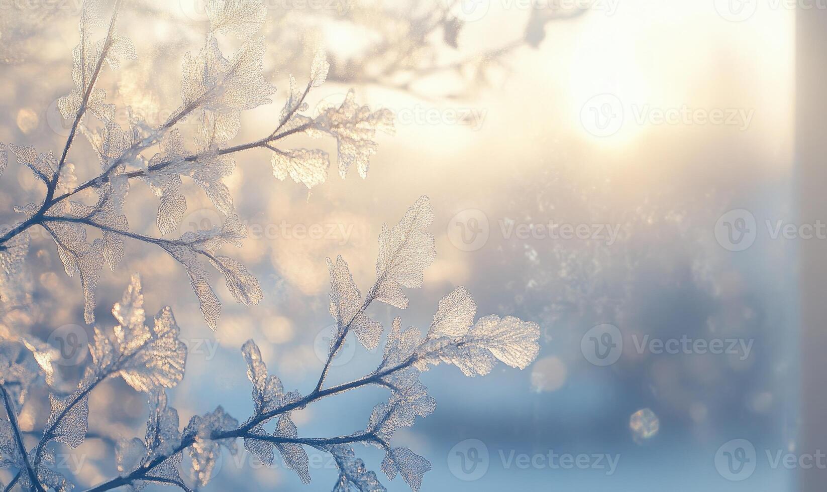 A branch covered in frost and snow photo