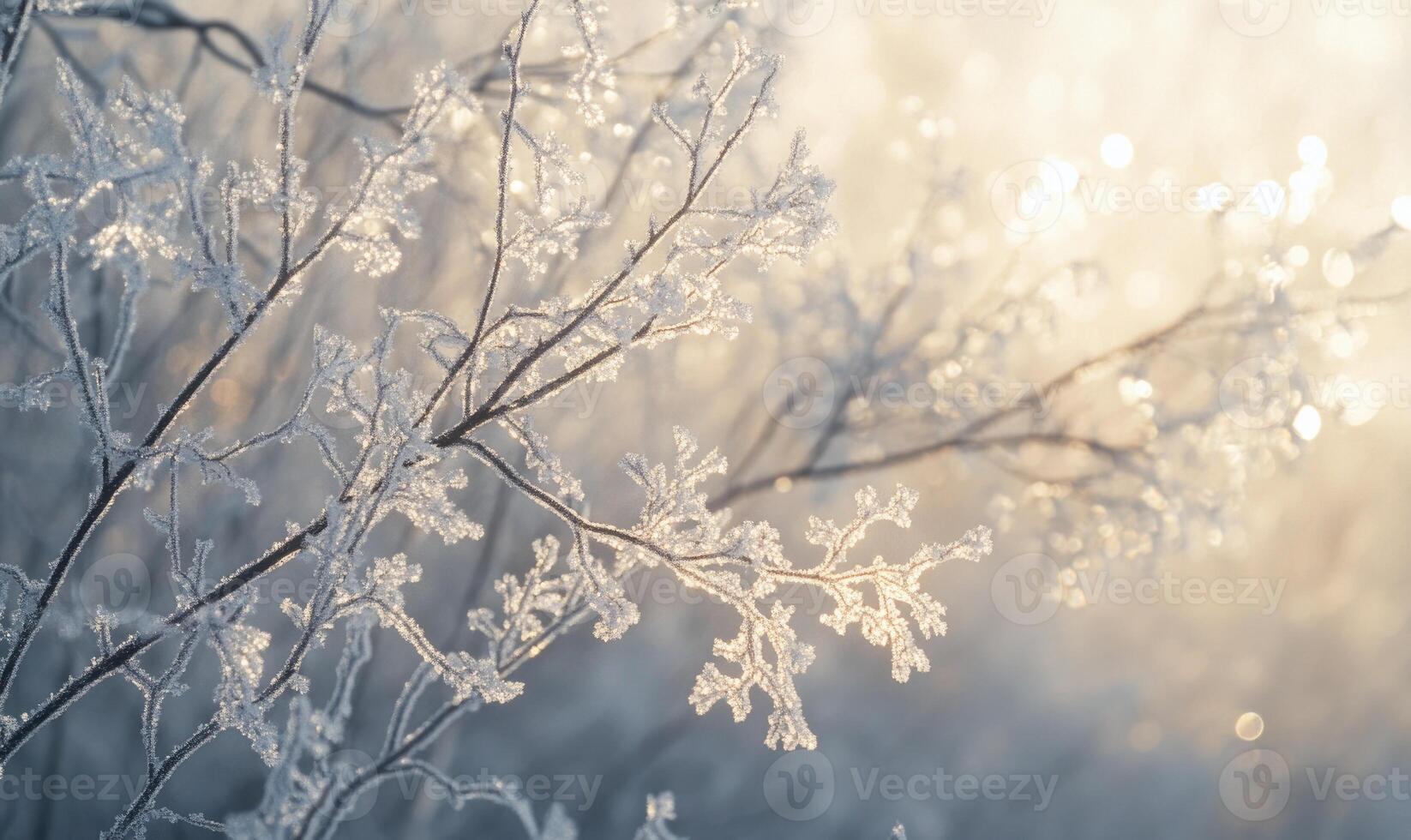 A tree branch covered in frost and snow photo