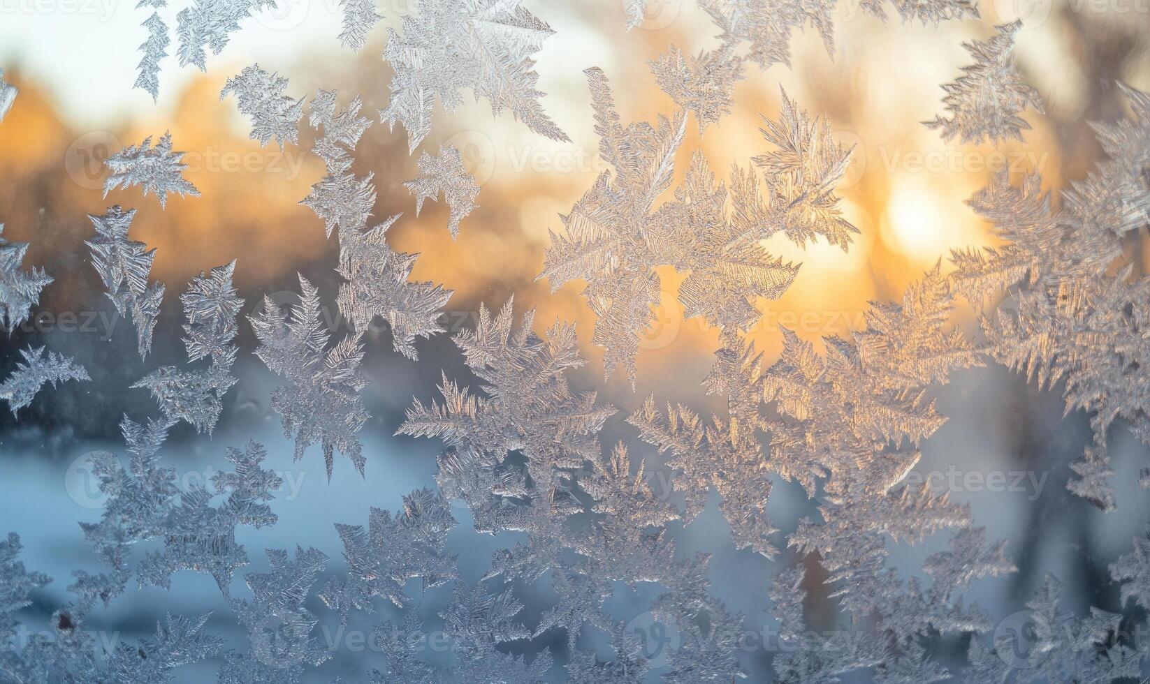 A window with frosted glass and a view of trees photo