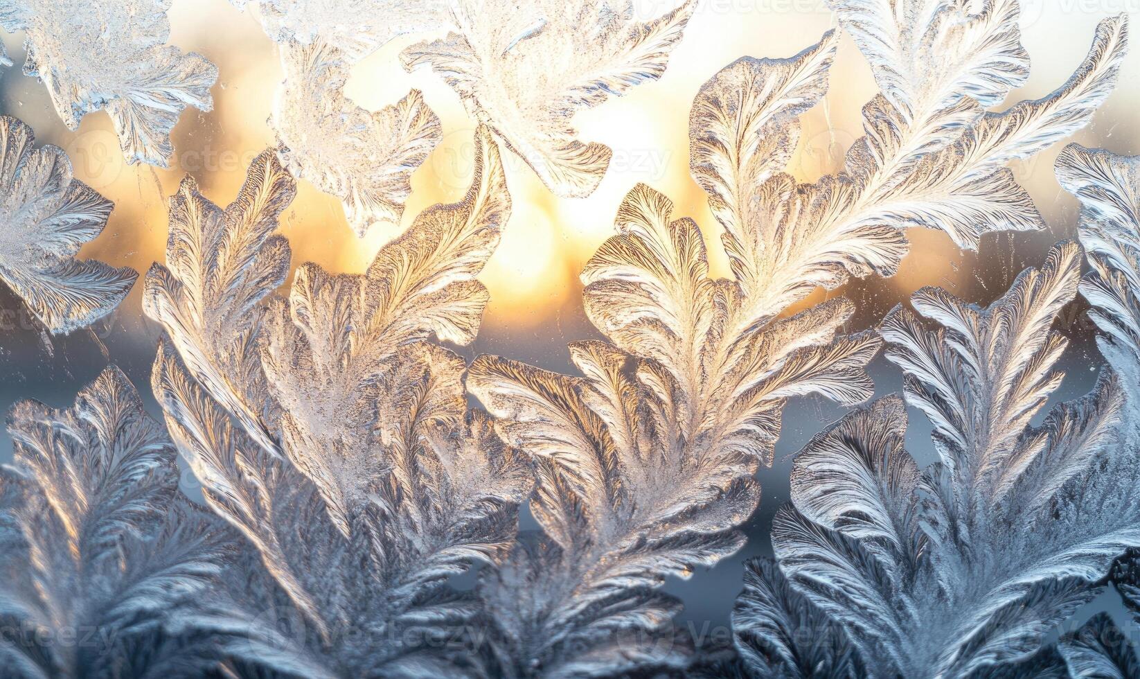 A frosty window with a beautiful design of leaves and branches photo