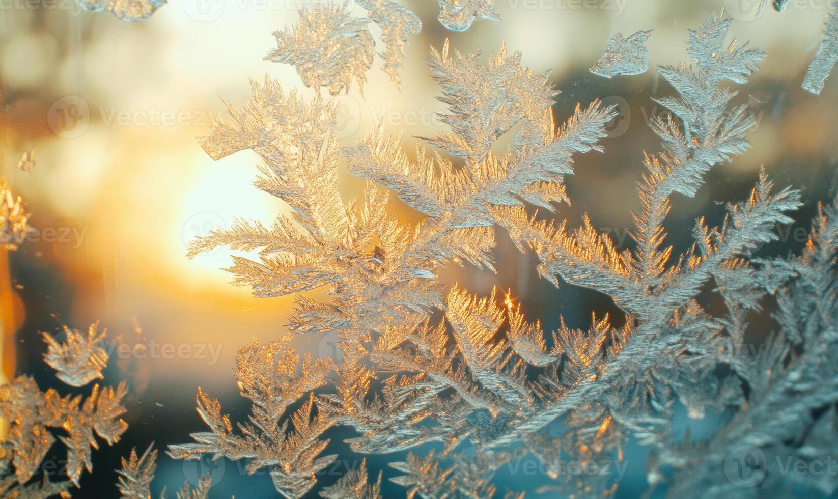A frosty window pane with a sun shining through it photo