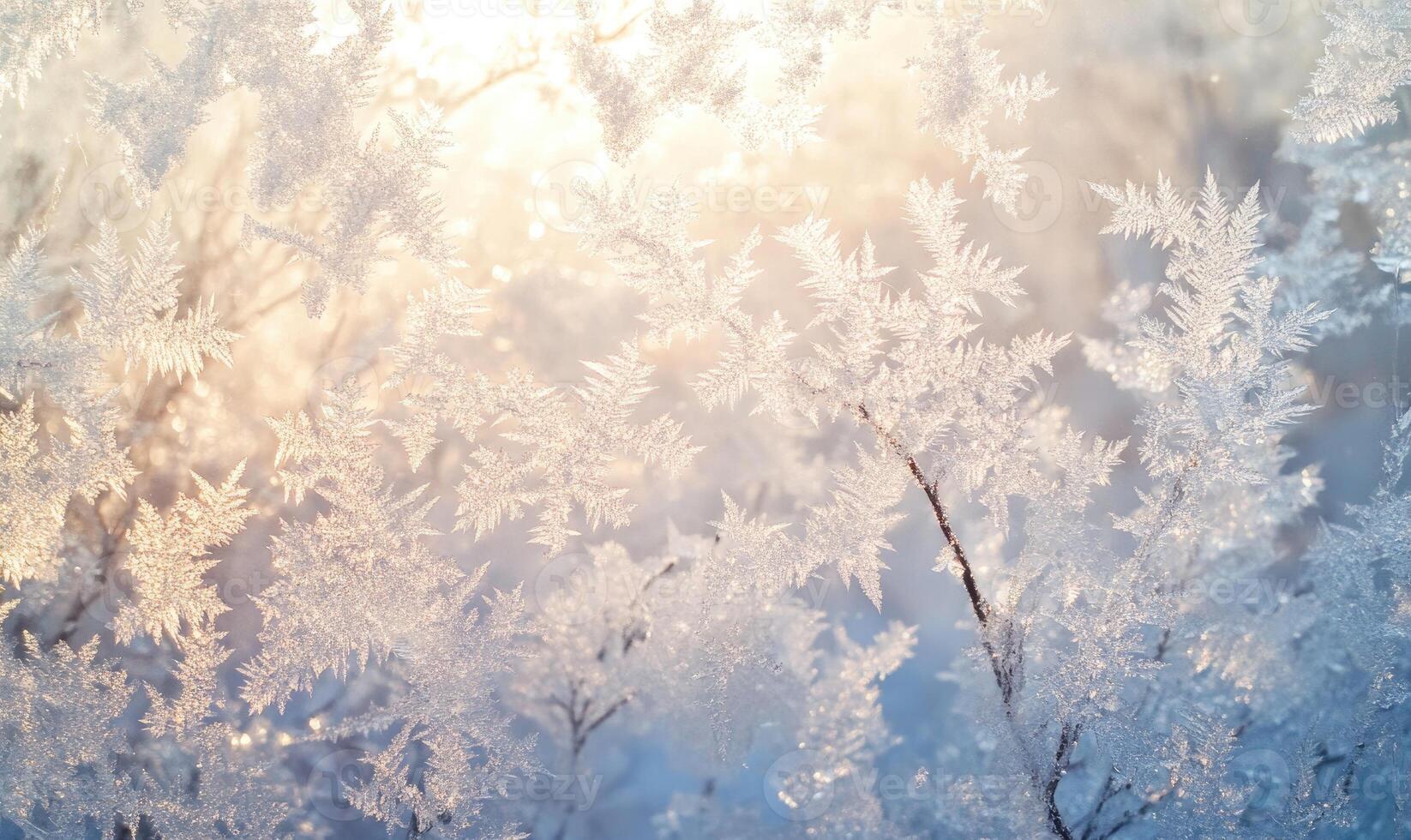 A close up of a tree covered in snow photo