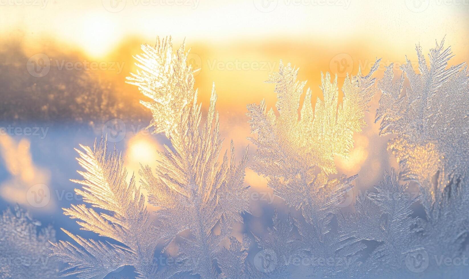 A close up of a frosty branch with a bright orange sun in the background photo