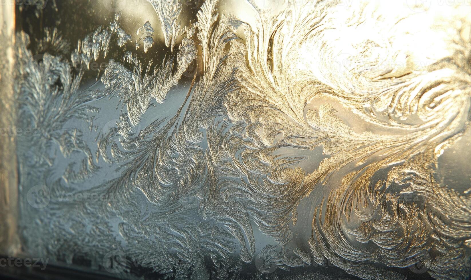 A frosty window with a design of leaves and branches photo