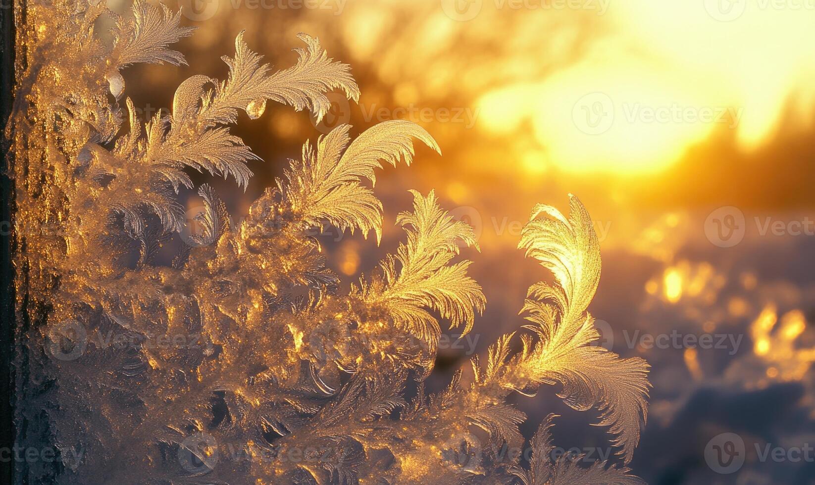 A frosty branch with a sun in the background photo