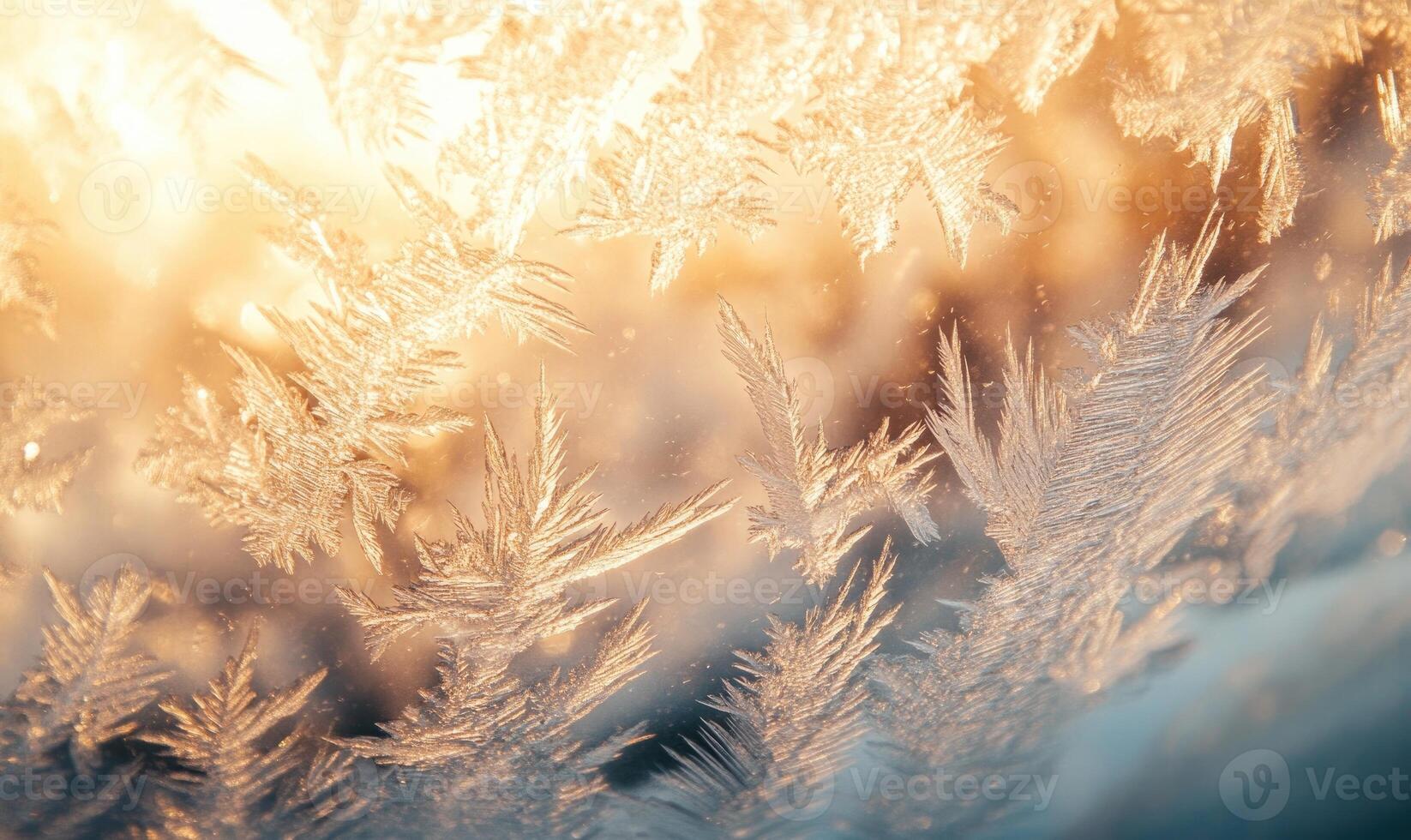 A close up of a frosty window with snowflakes on it photo