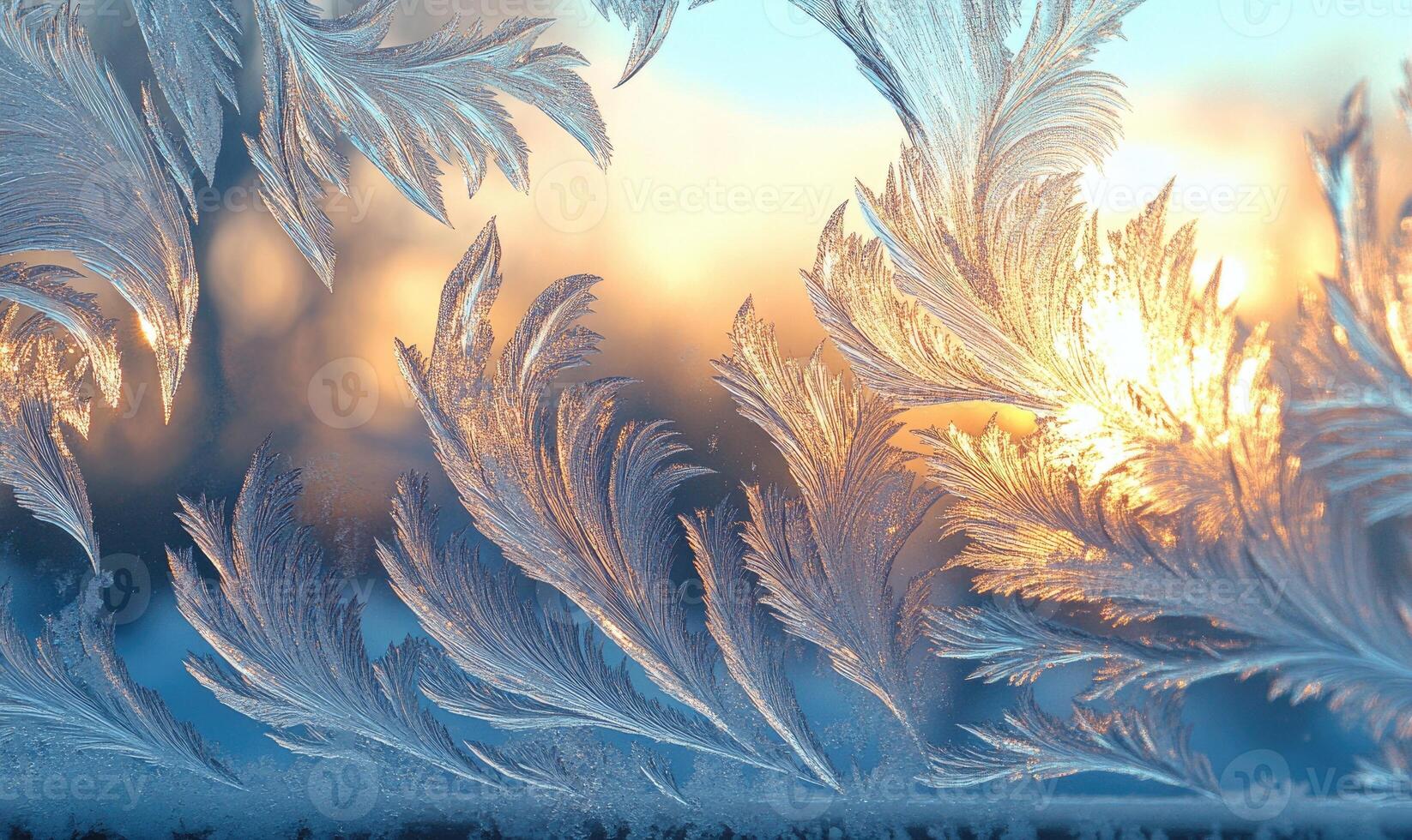 A window with frosted glass and a beautiful, intricate design of leaves photo
