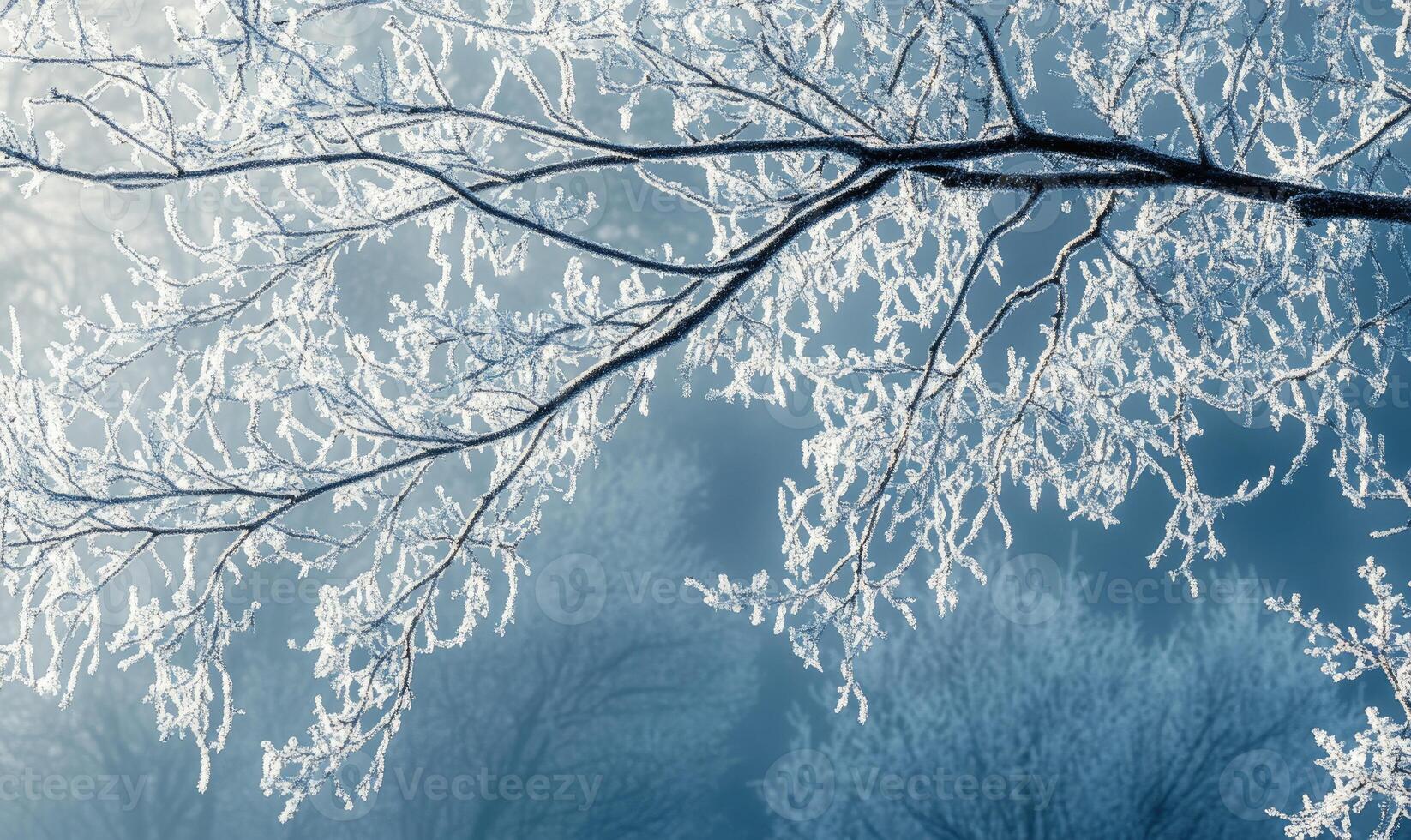 A branch covered in snow is shown in a blue sky photo