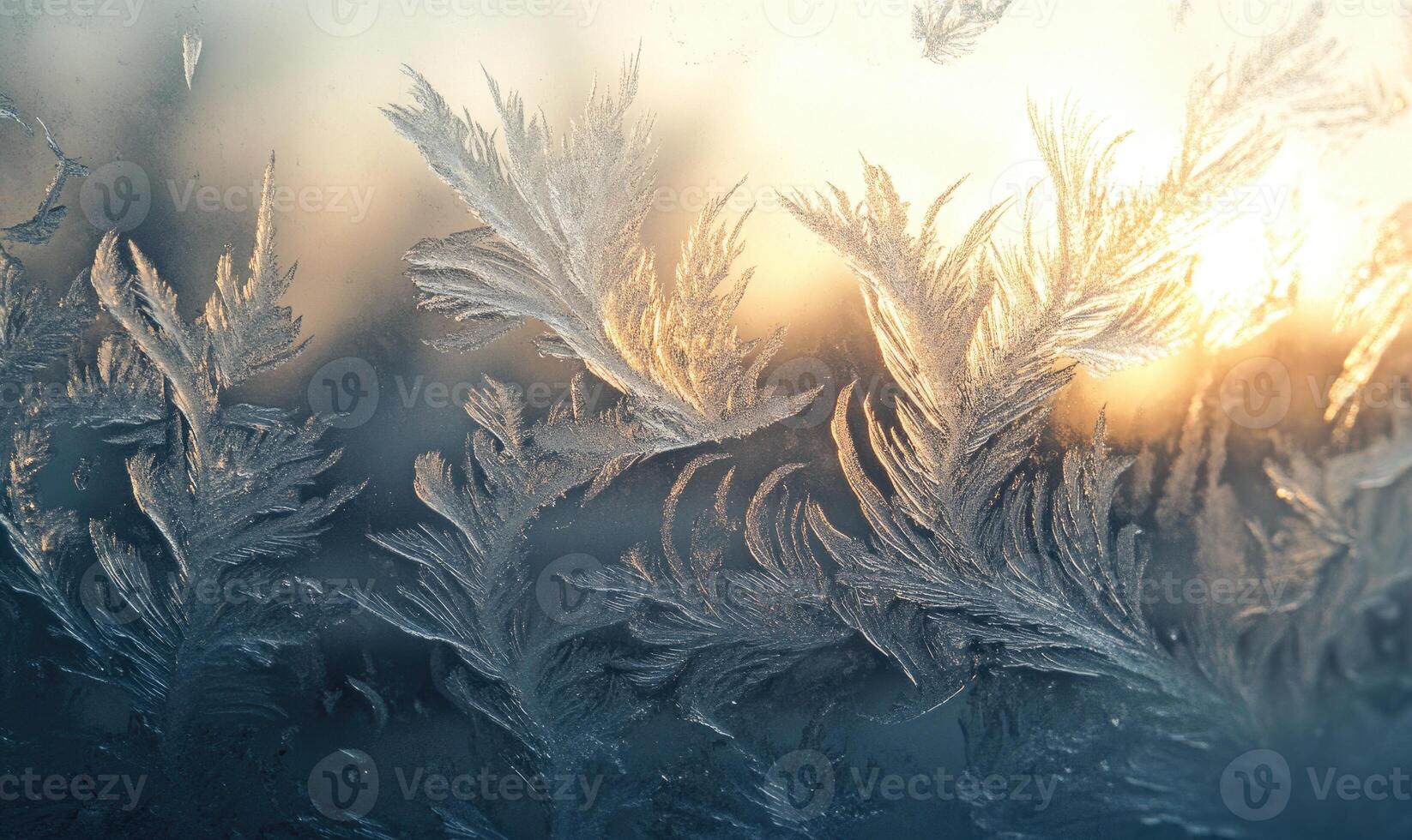 A frosty window with a beautiful, intricate design of ice crystals photo