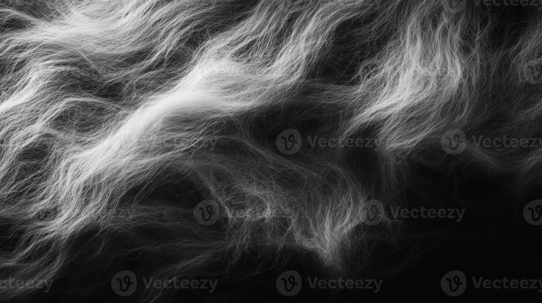 Abstract Black and White Image of Wavy Lines photo