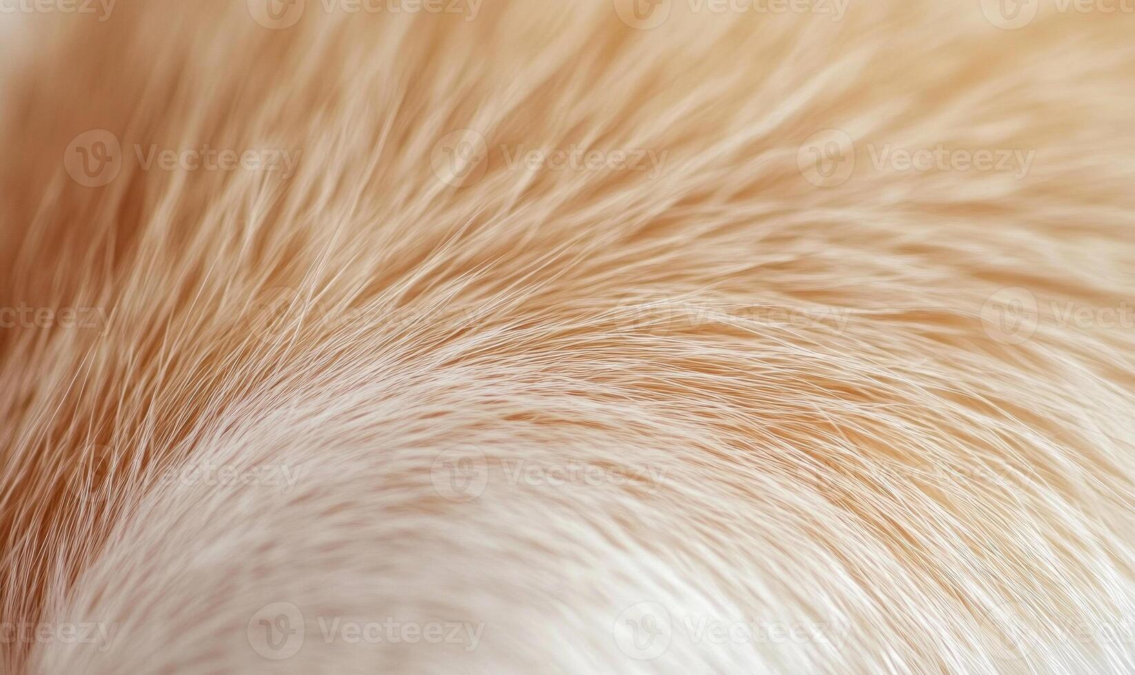 The fur of a dog is shown in a close up photo