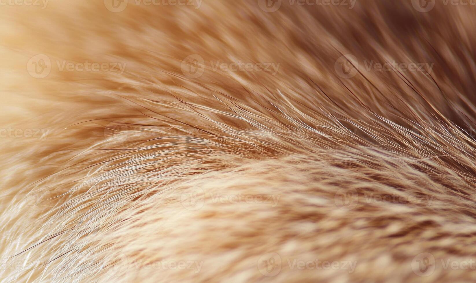 The fur of a dog is shown in a close up photo