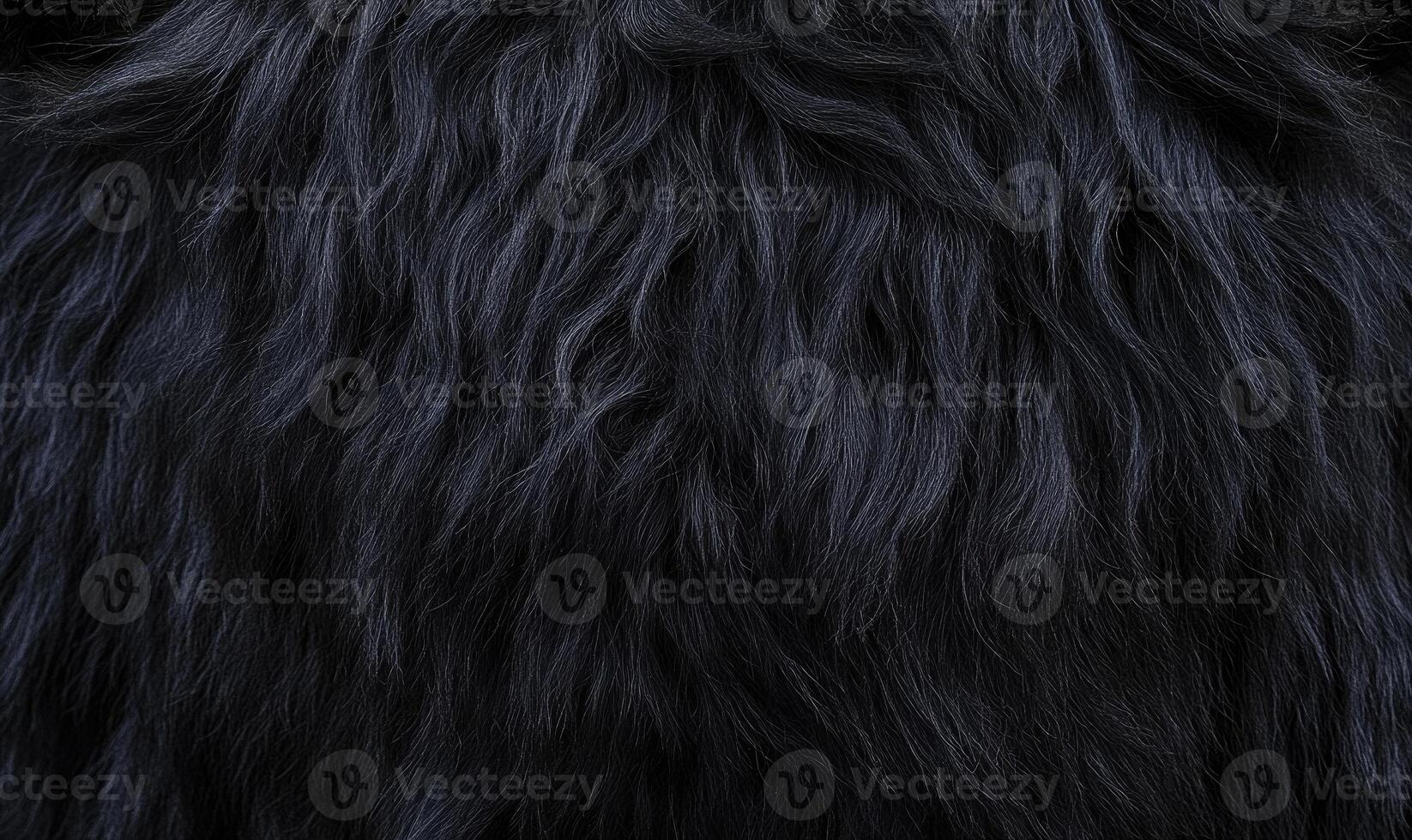 A close up of a black animal's fur with a lot of texture photo