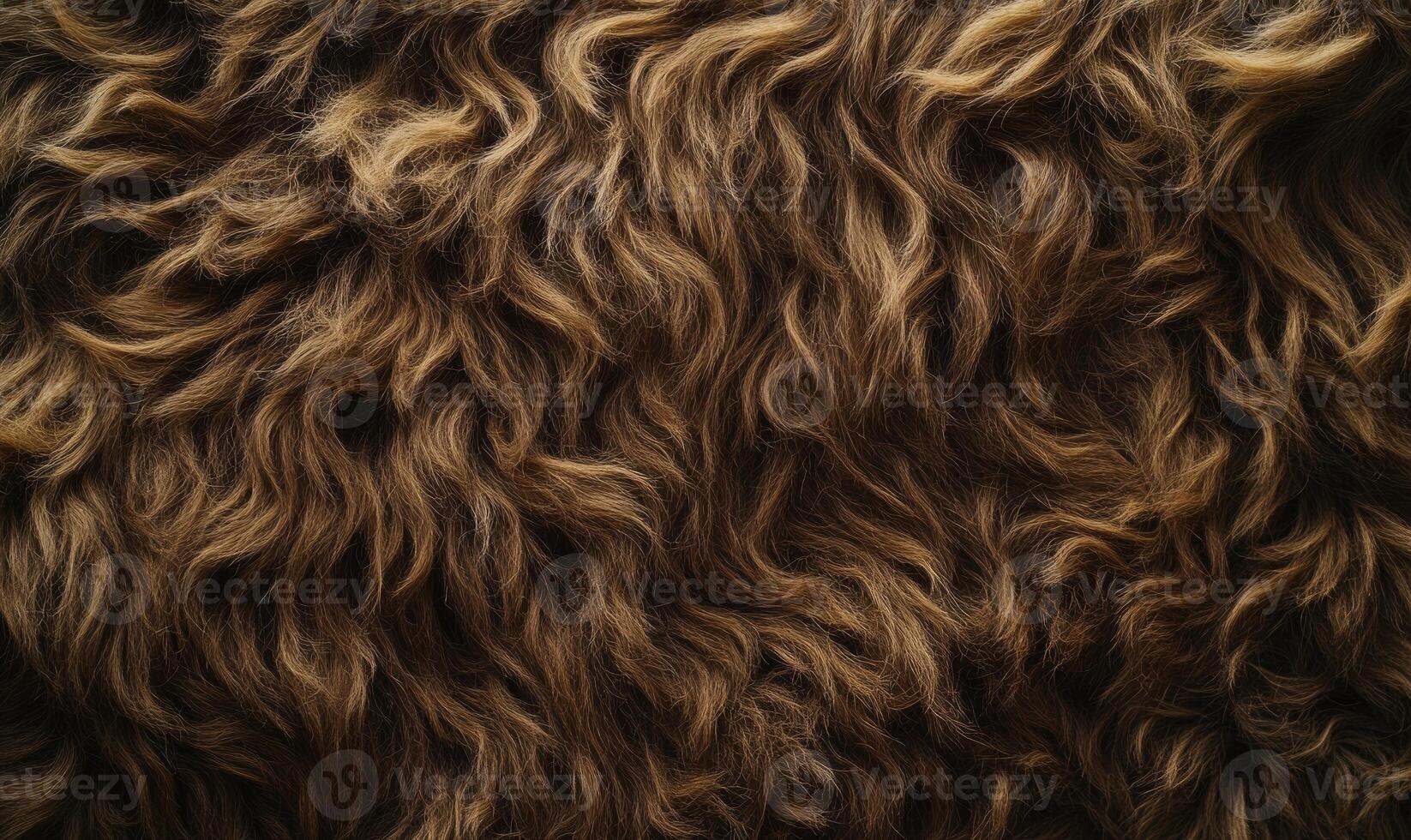 A close up of a furry texture, possibly from a bear's fur photo
