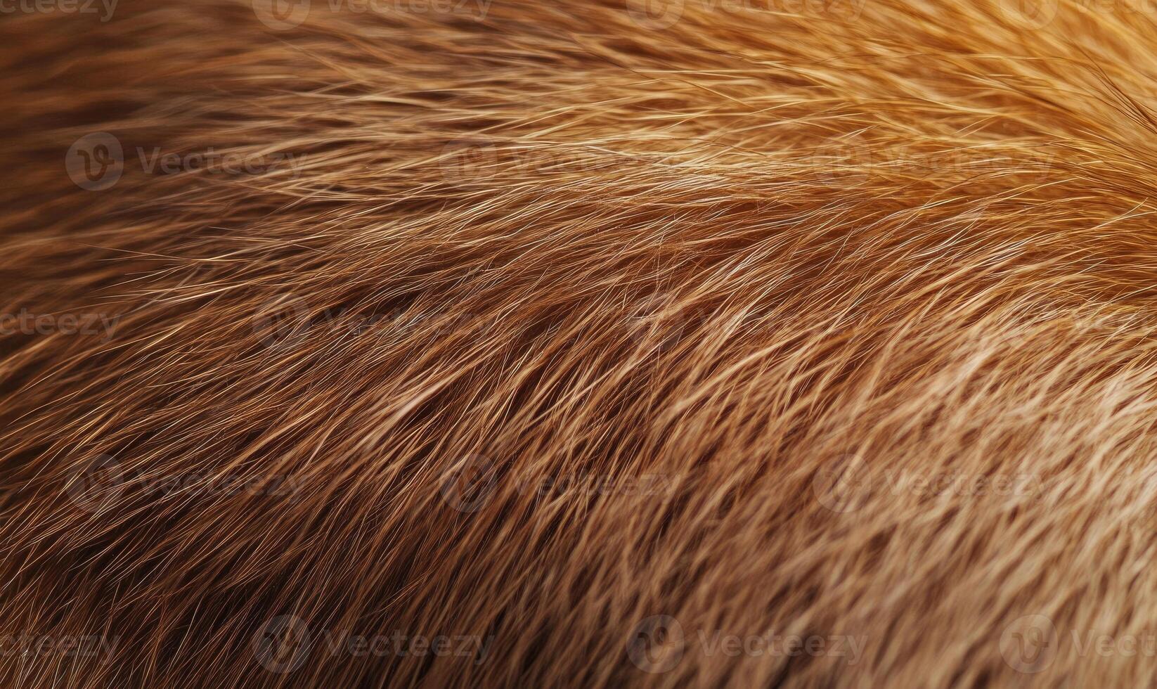 The fur of a brown animal is shown in detail, with the texture photo