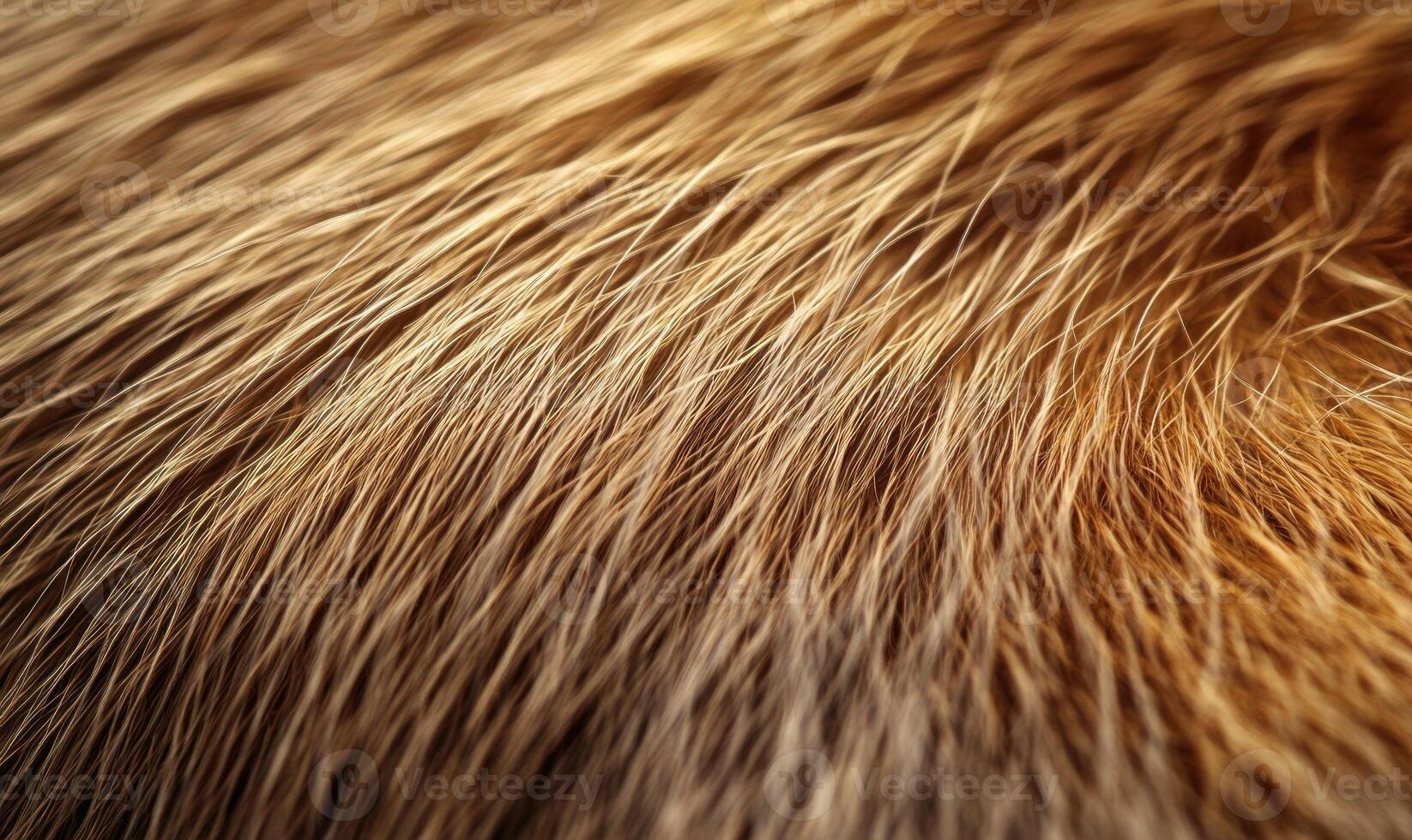The fur of a brown animal is shown in detail, with the texture photo