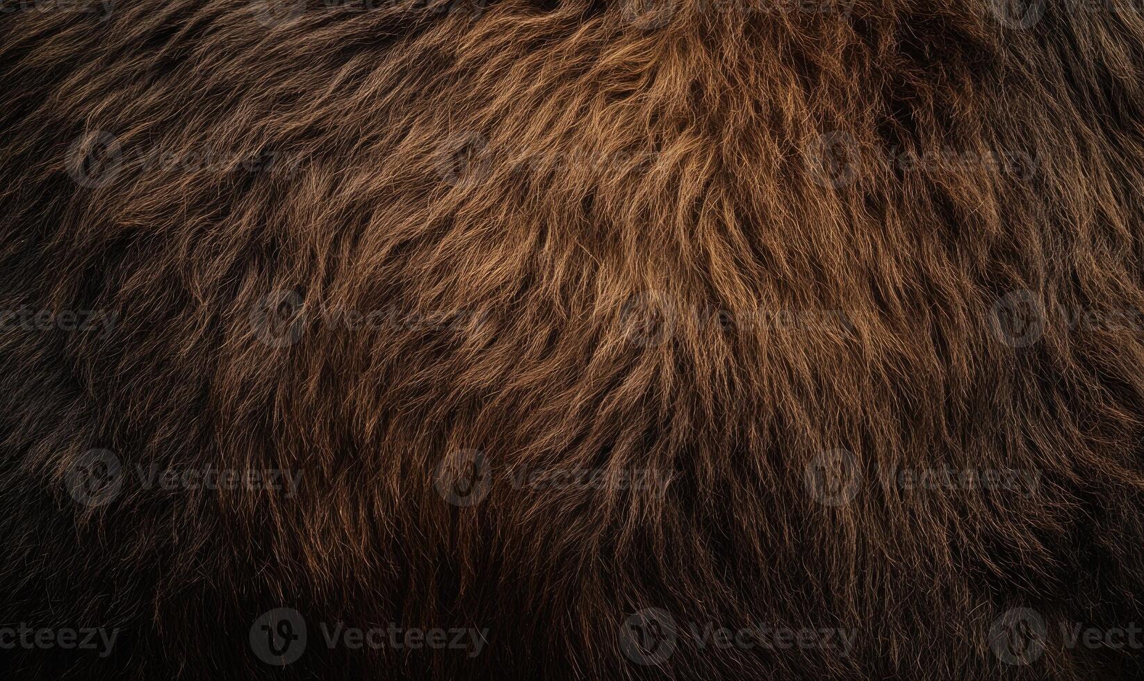 The fur of a brown bear is shown in detail, with the texture photo