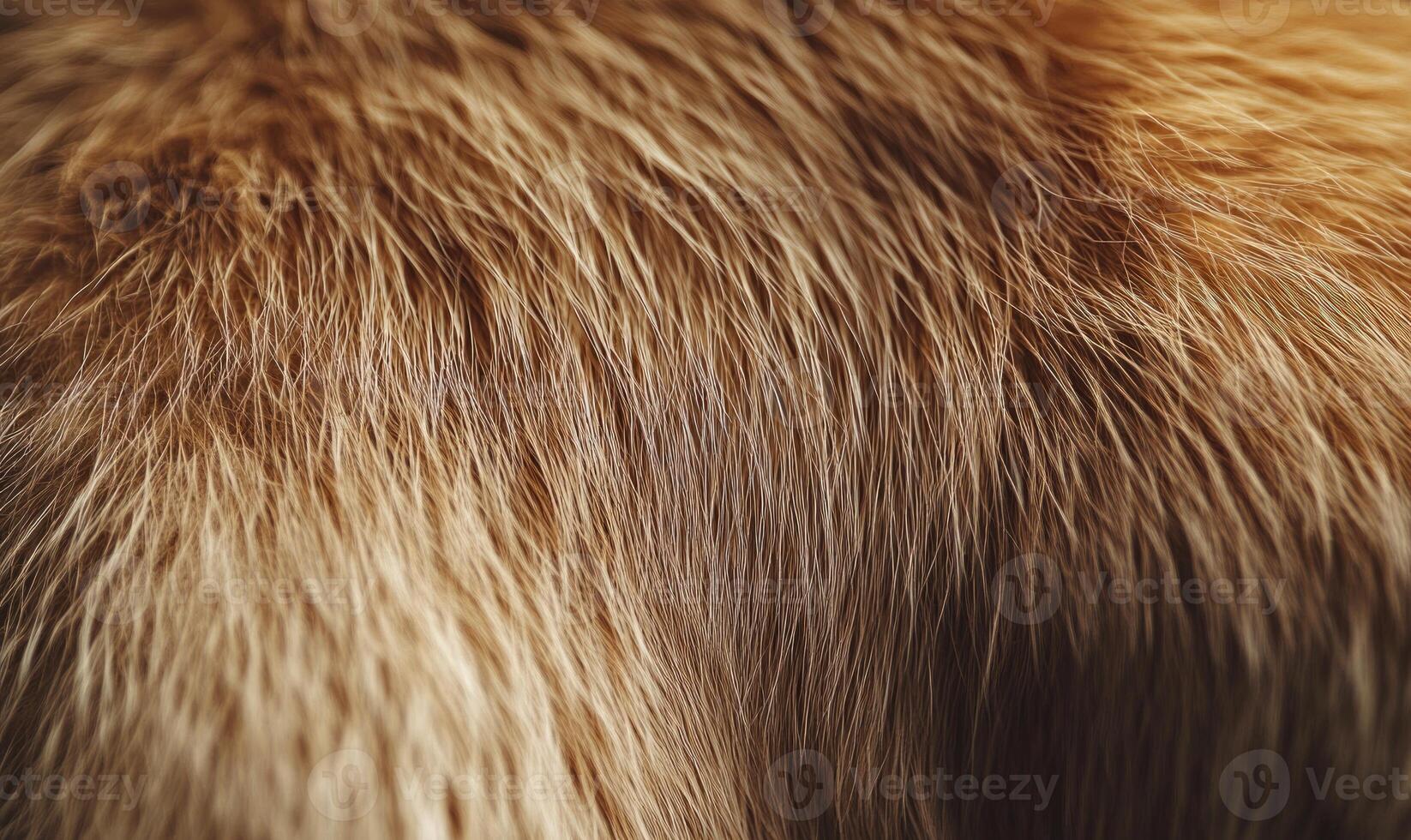 The fur of a brown animal is shown in detail, with the texture photo