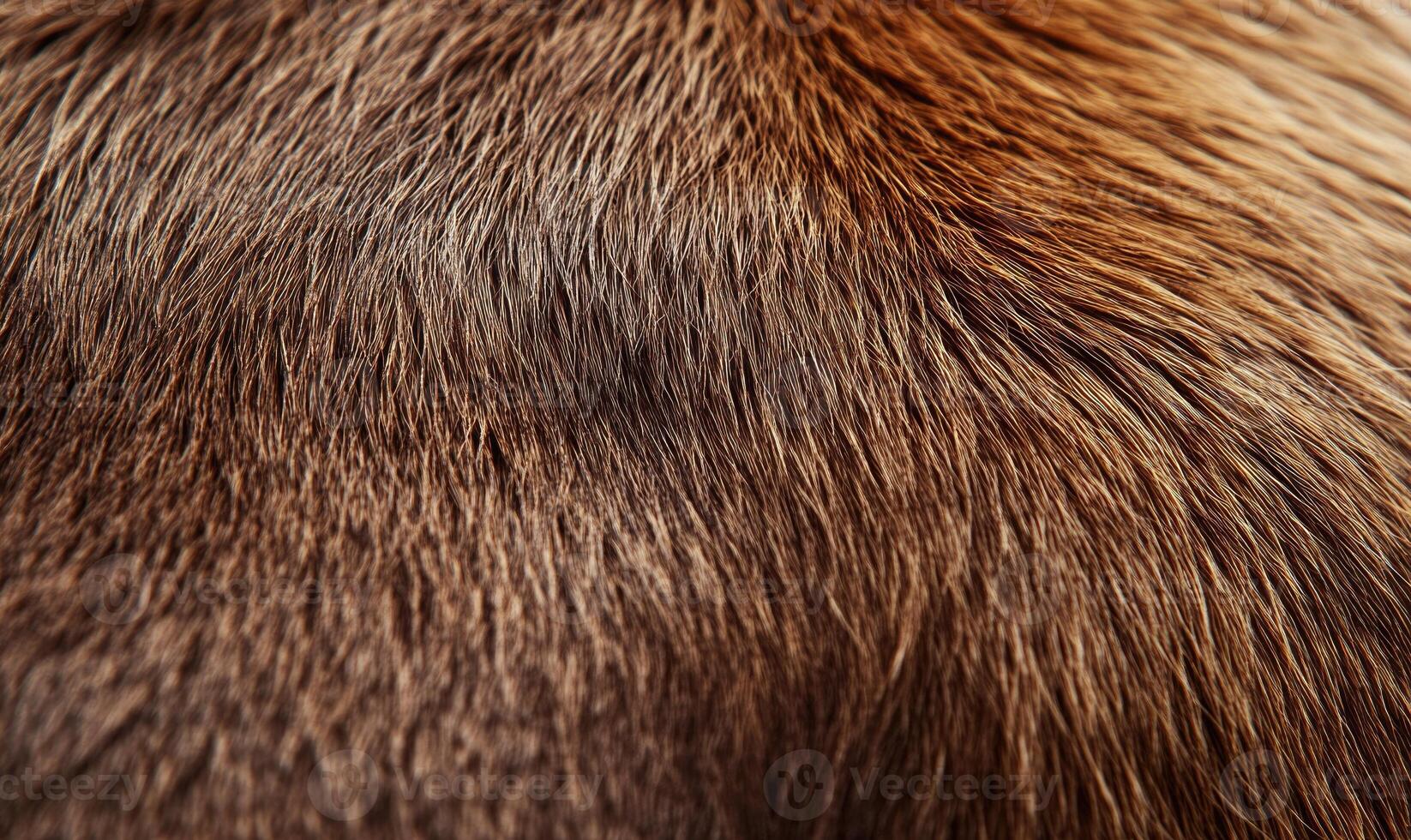 The fur of a brown animal is shown in detail, with the texture photo
