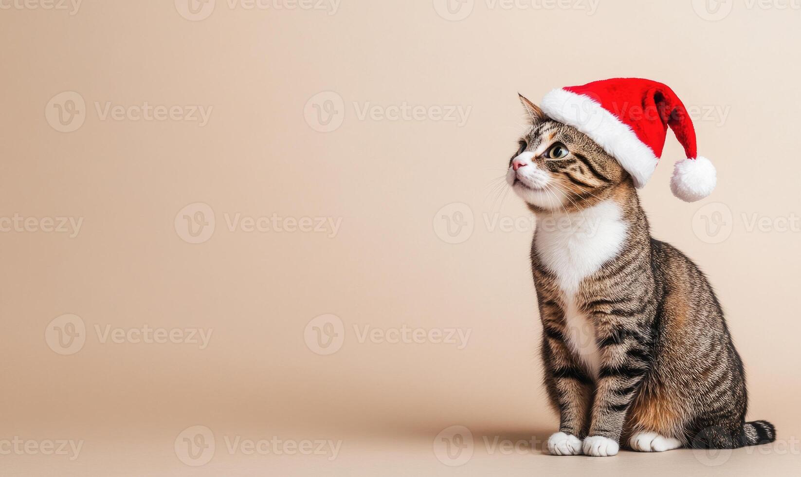 a curious cat in a Santa hat sitting with empty space on the right, soft beige background photo