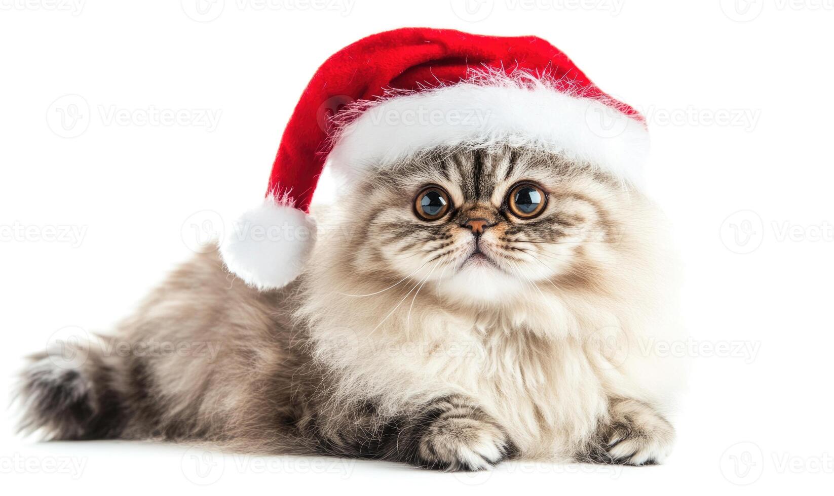 a Persian cat wearing a Santa hat, fluffy and relaxed, white background, empty space on the left photo