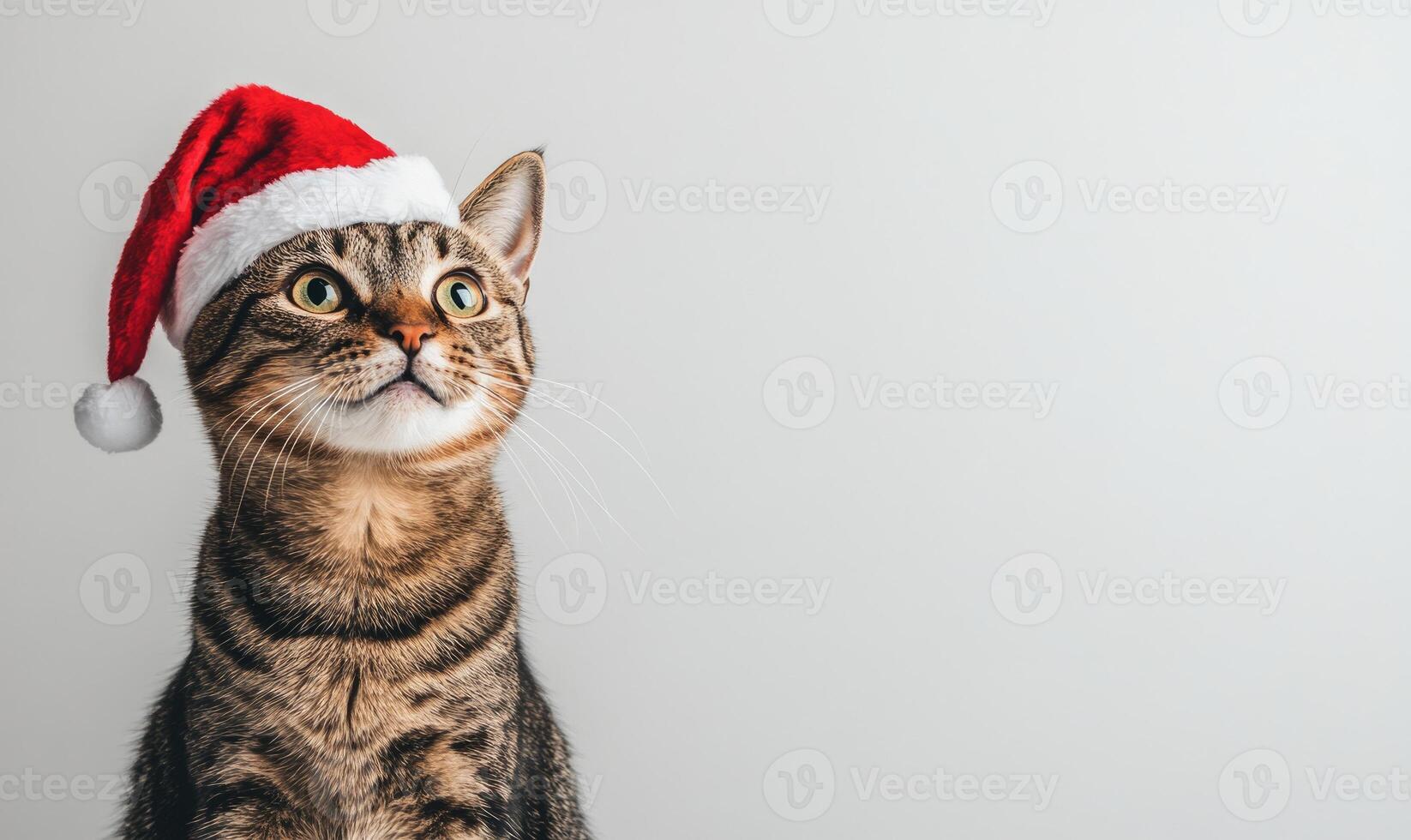 a playful cat wearing a Santa hat, light gray background, empty space on the left photo