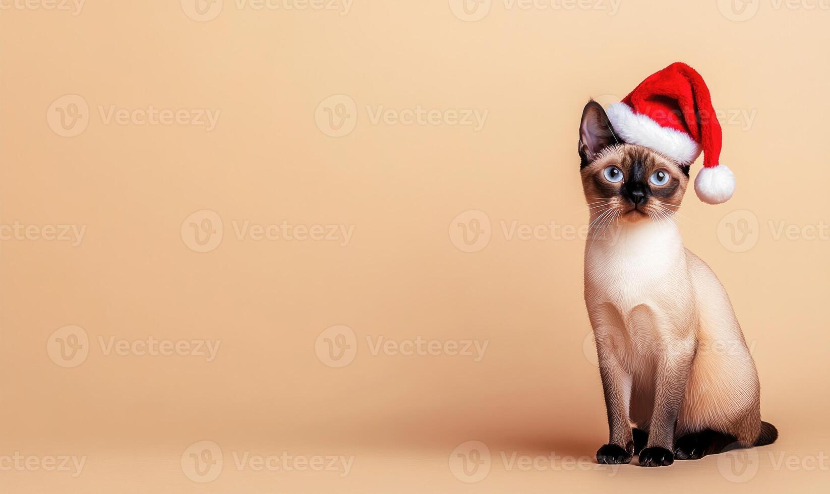 a Tonkinese cat wearing a Santa hat, beige background, empty space on the left photo