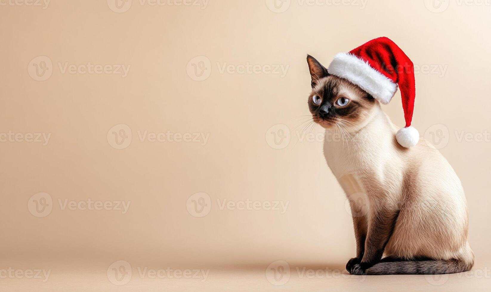 a Tonkinese cat wearing a Santa hat, beige background, empty space on the left photo