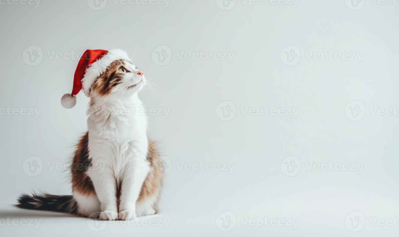 a Turkish Van cat wearing a Santa hat, white background, empty space on the left photo