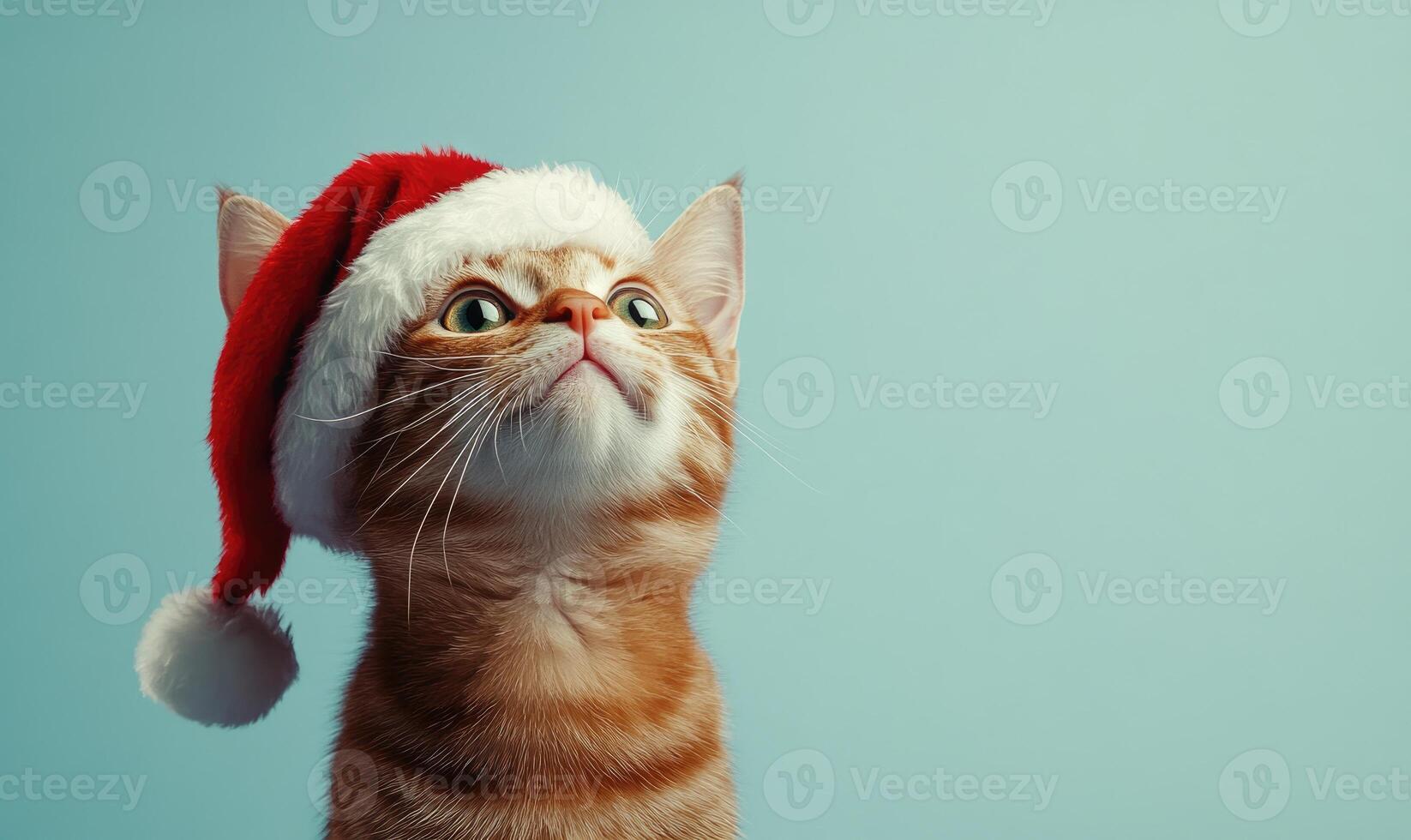 a cat wearing a Santa hat, light blue background, empty space on the left side photo
