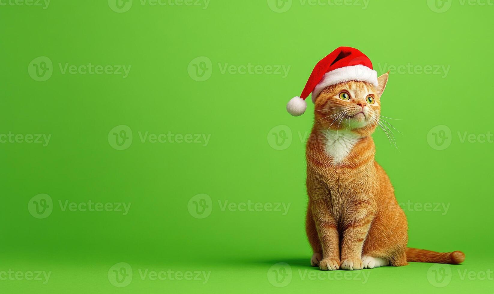 Cat wearing a Santa hat, green background, empty space on the right photo