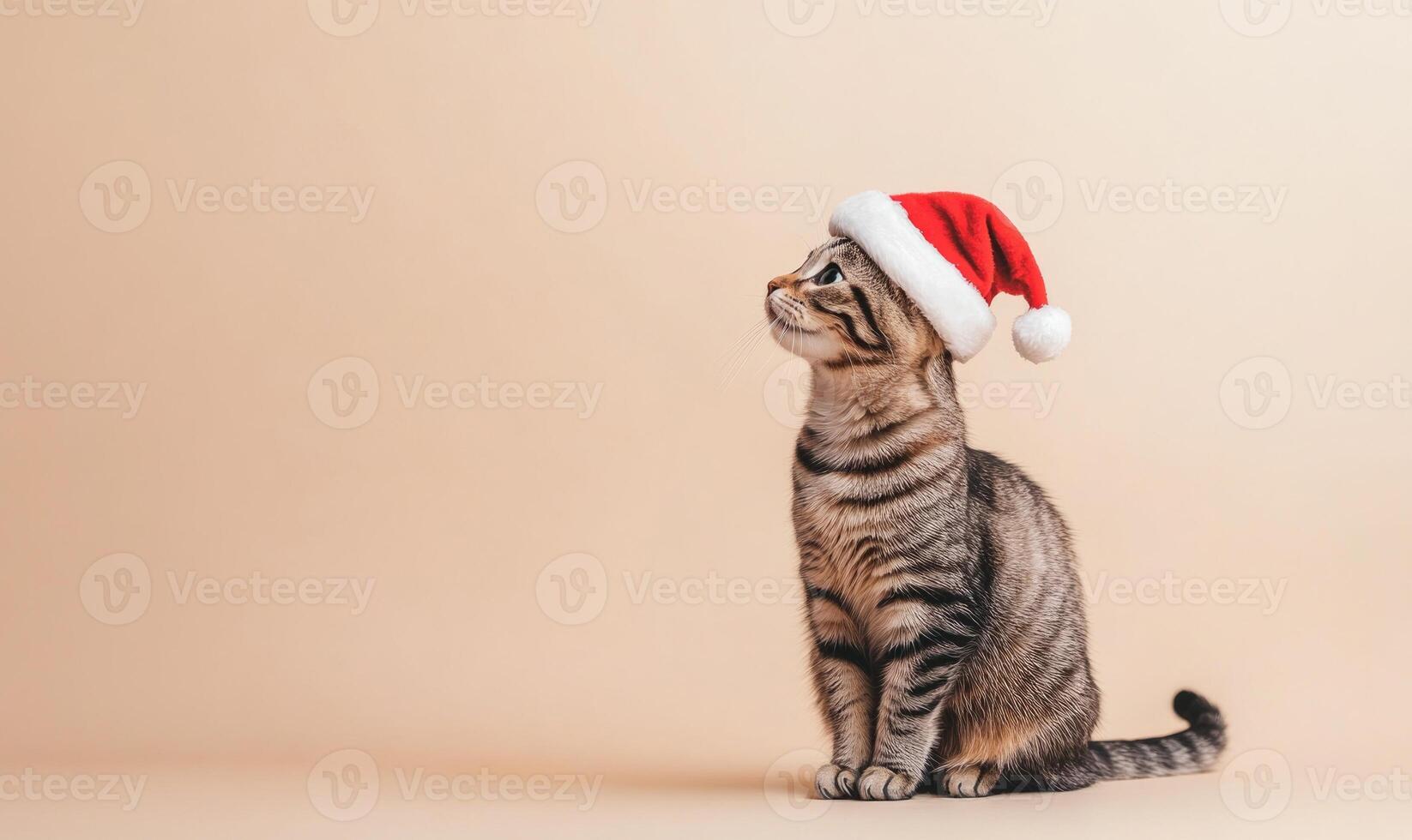 Cat wearing a Santa hat, soft beige background, empty space on the left photo