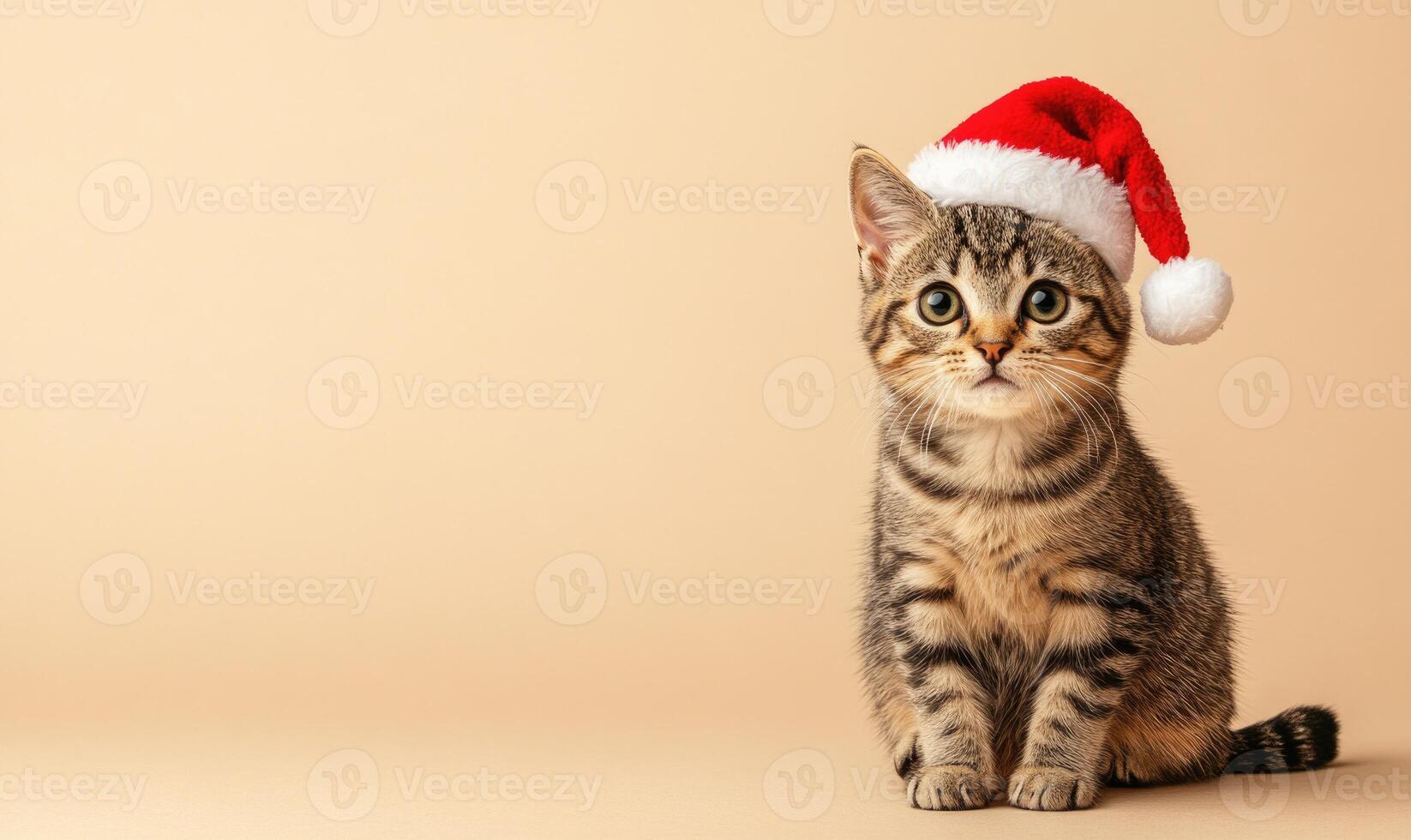 Cat wearing a Santa hat, soft beige background, empty space on the left photo