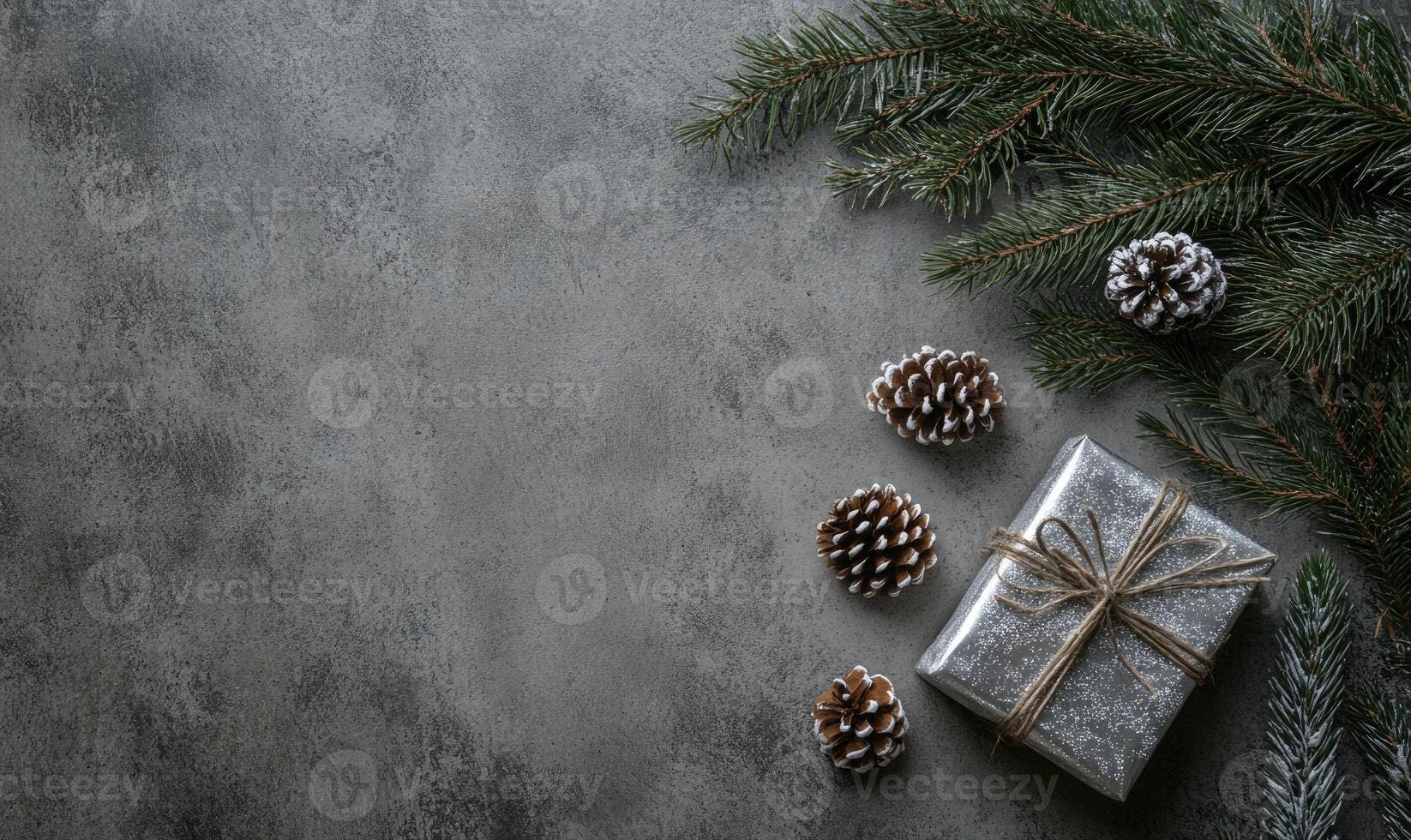 A grey background with pine cones and a silver box photo