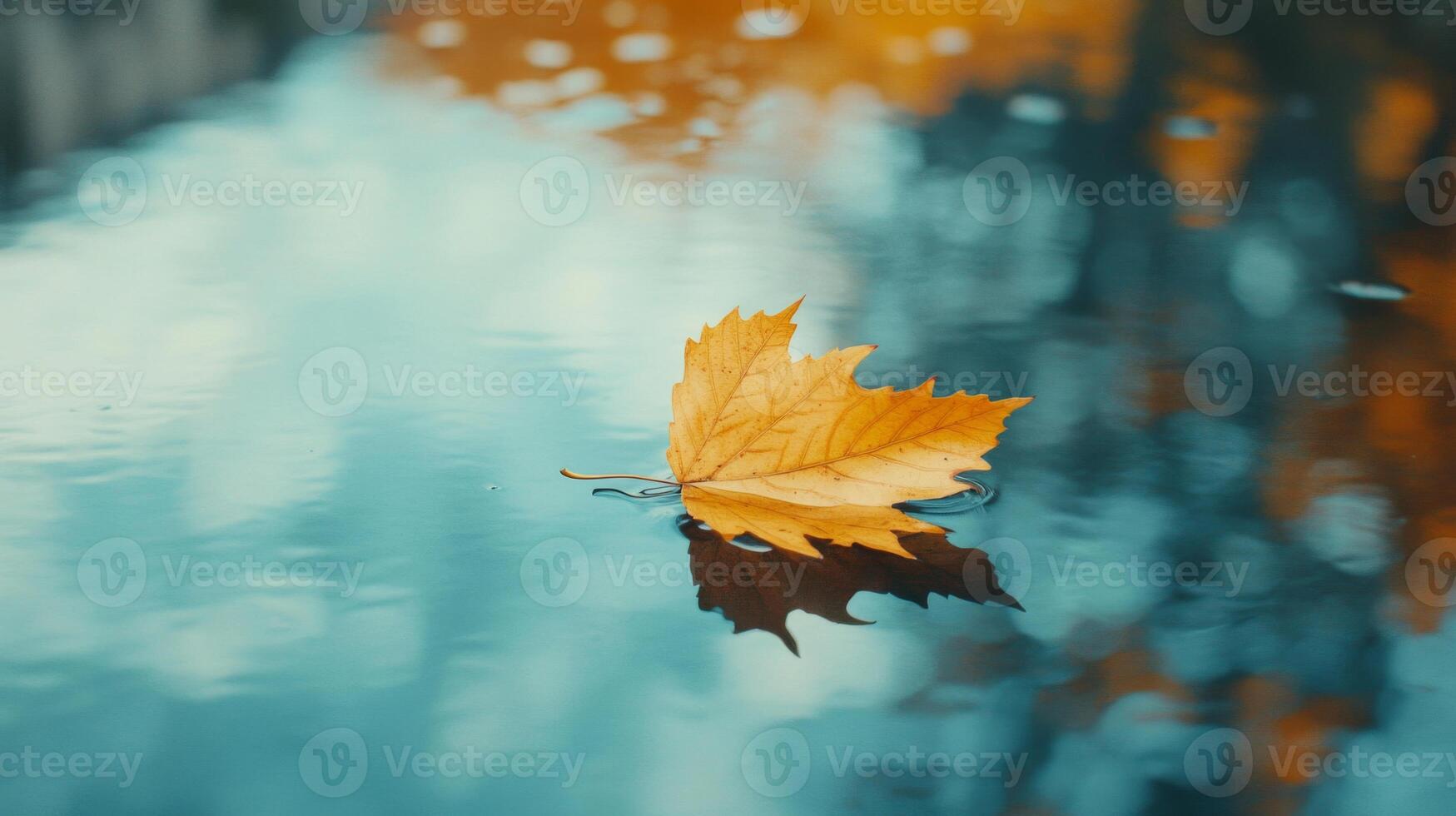 A Single Autumn Leaf Floating on a Blue Water Surface photo