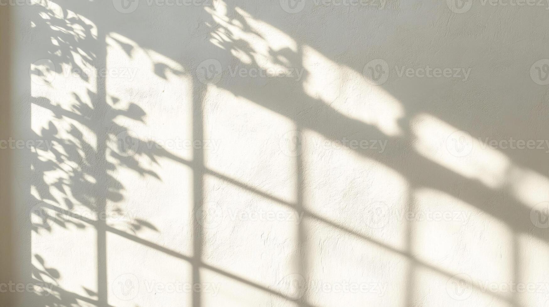 Shadow of a Window and Leaves on a White Wall photo