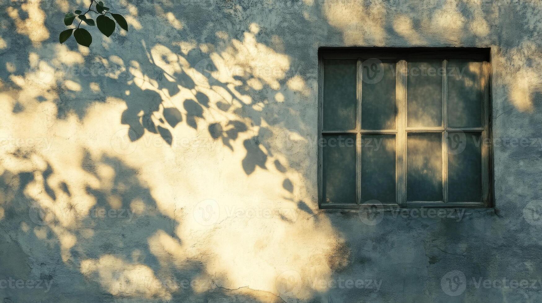 A Single Window With Leaf Shadows On A Weathered Wall photo
