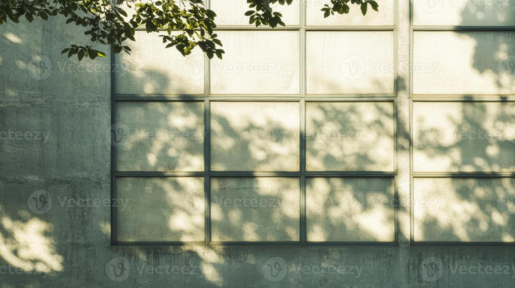 Window with Tree Branch Shadow Pattern on a Concrete Wall photo