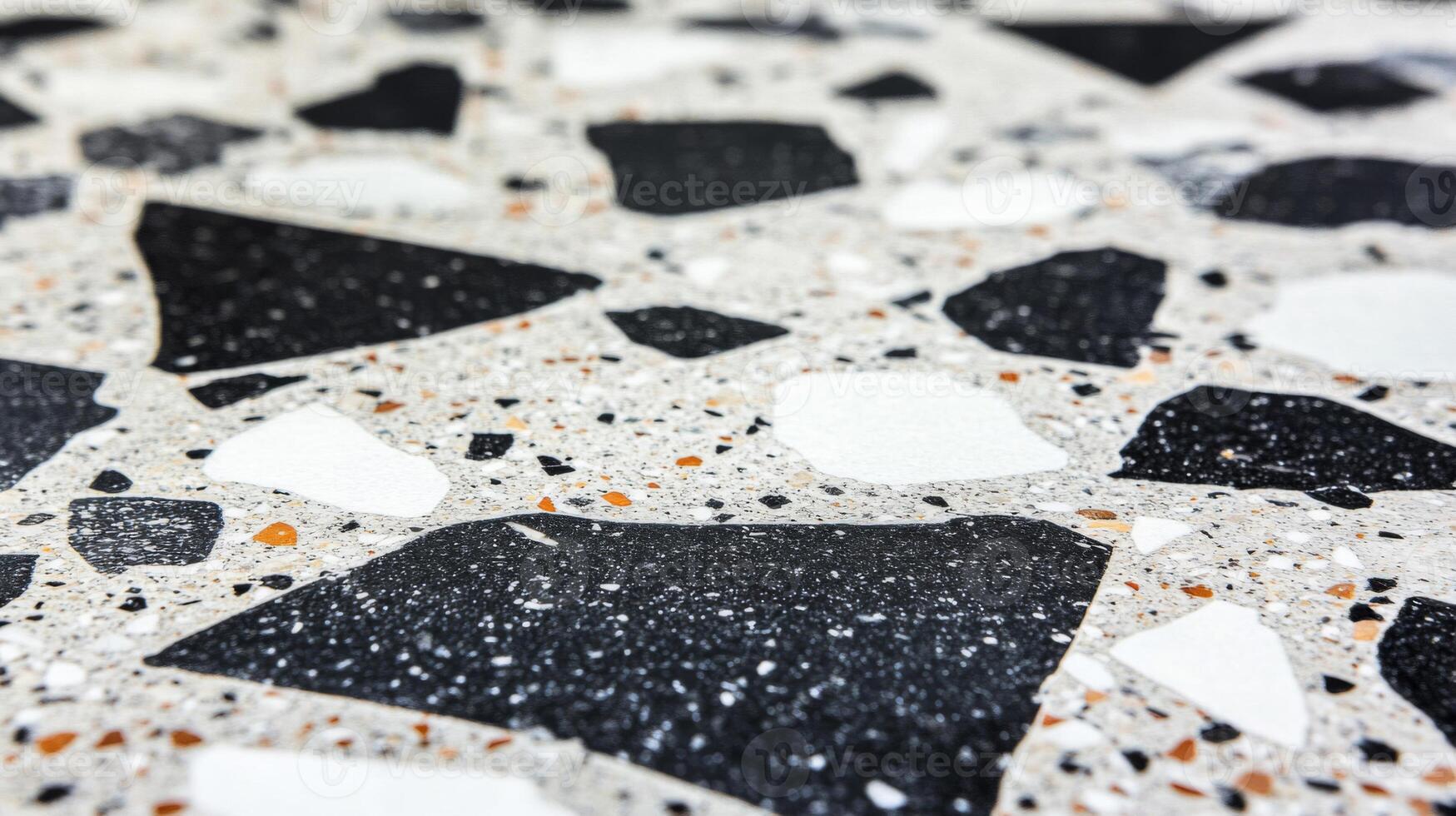 Close-up of Terrazzo Flooring with Black, White, and Beige Chips photo