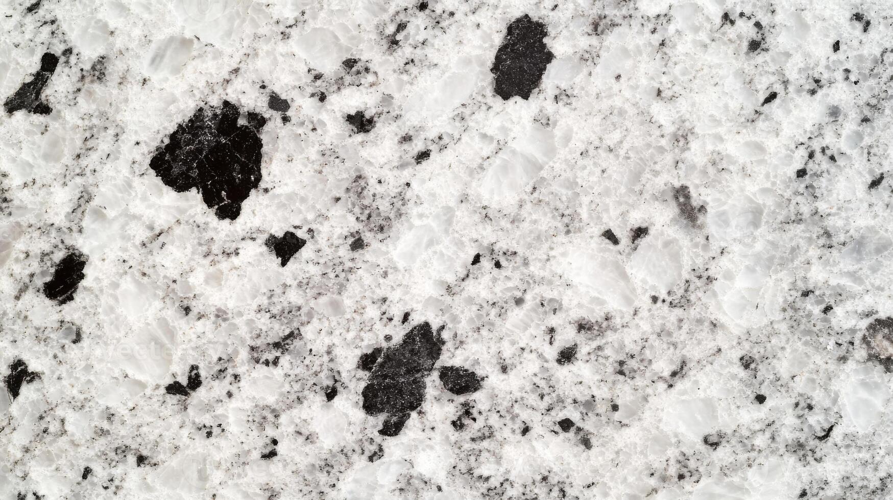 Close-up Texture of White and Black Marble with Irregular Black Patterns photo