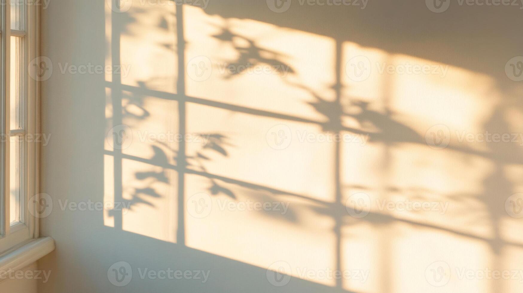 Window Light Casting Leaf Shadows on a White Wall photo
