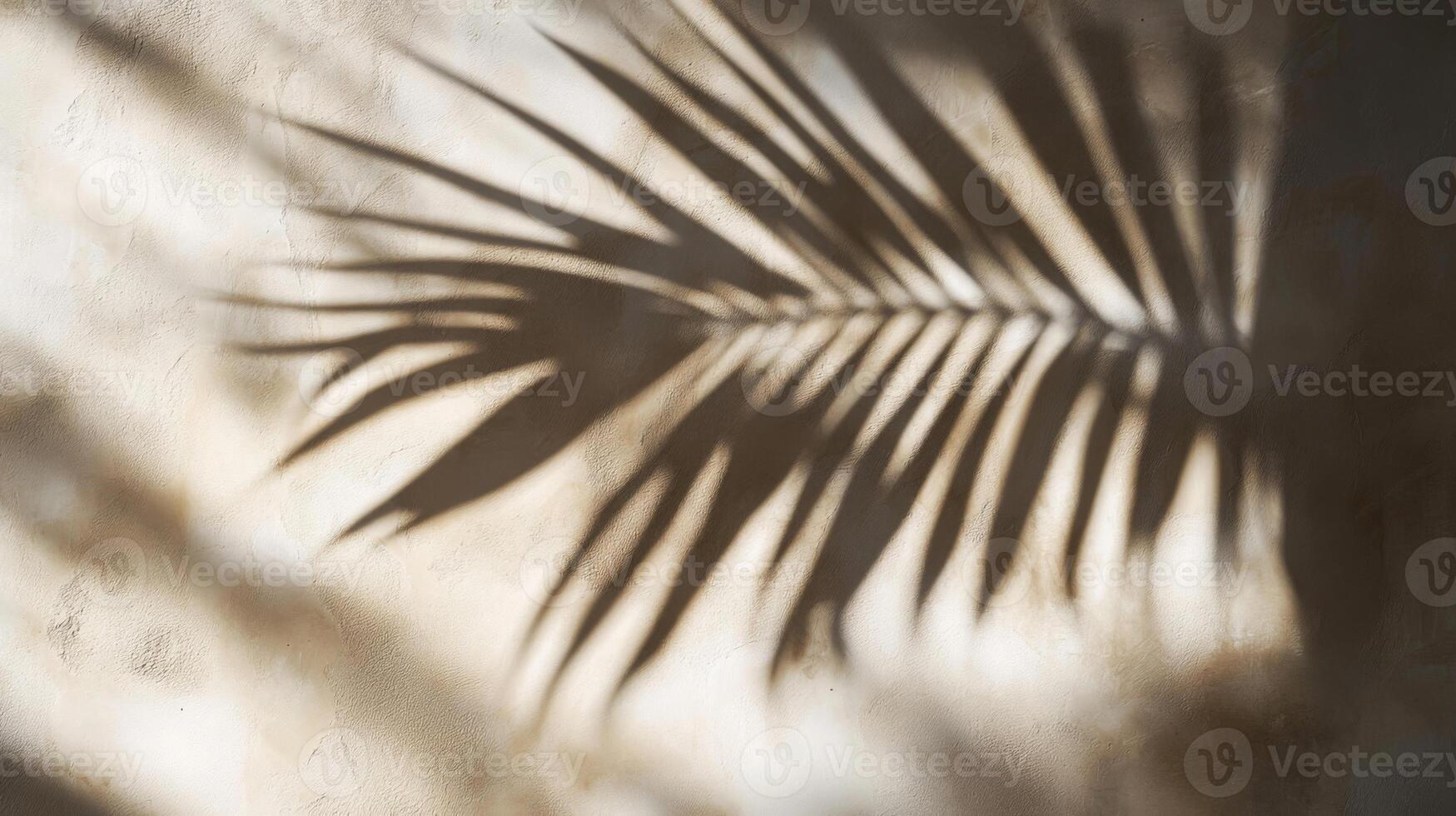 Palm Leaf Shadow Cast on a Light Beige Wall photo
