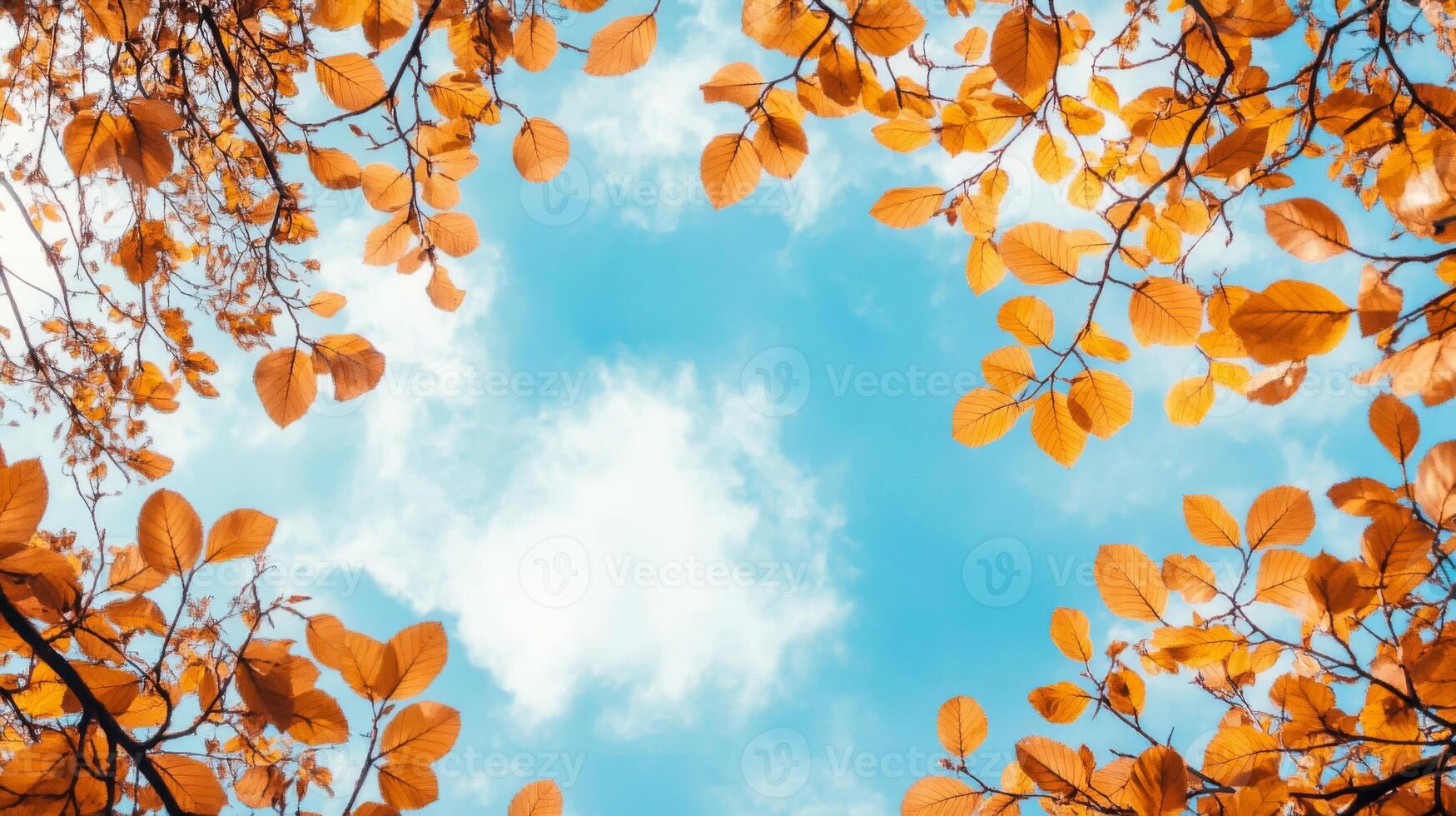 Autumn Leaves Framing a Cloudy Blue Sky photo