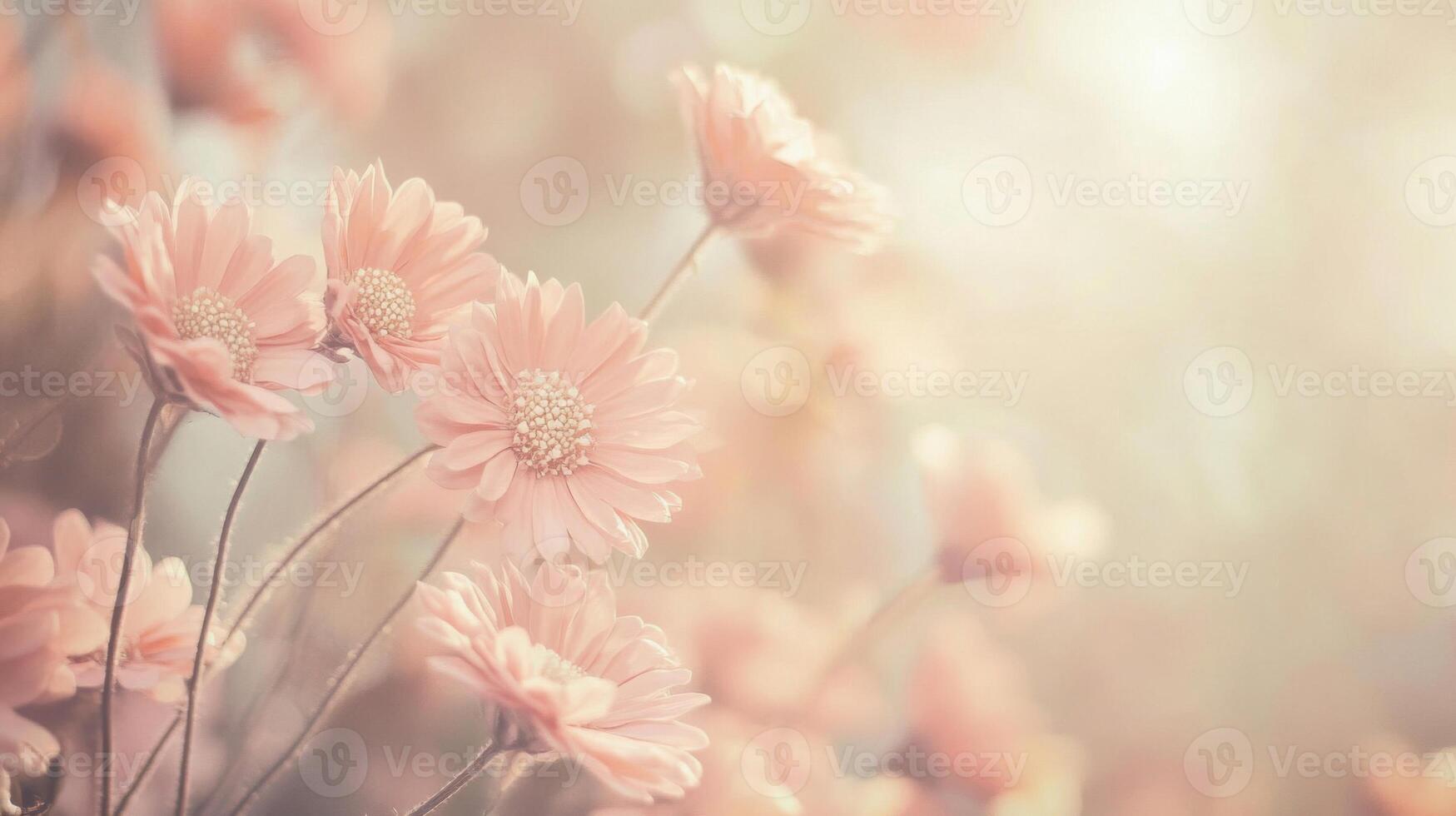 Delicate Pink Flowers in Soft Sunlight photo