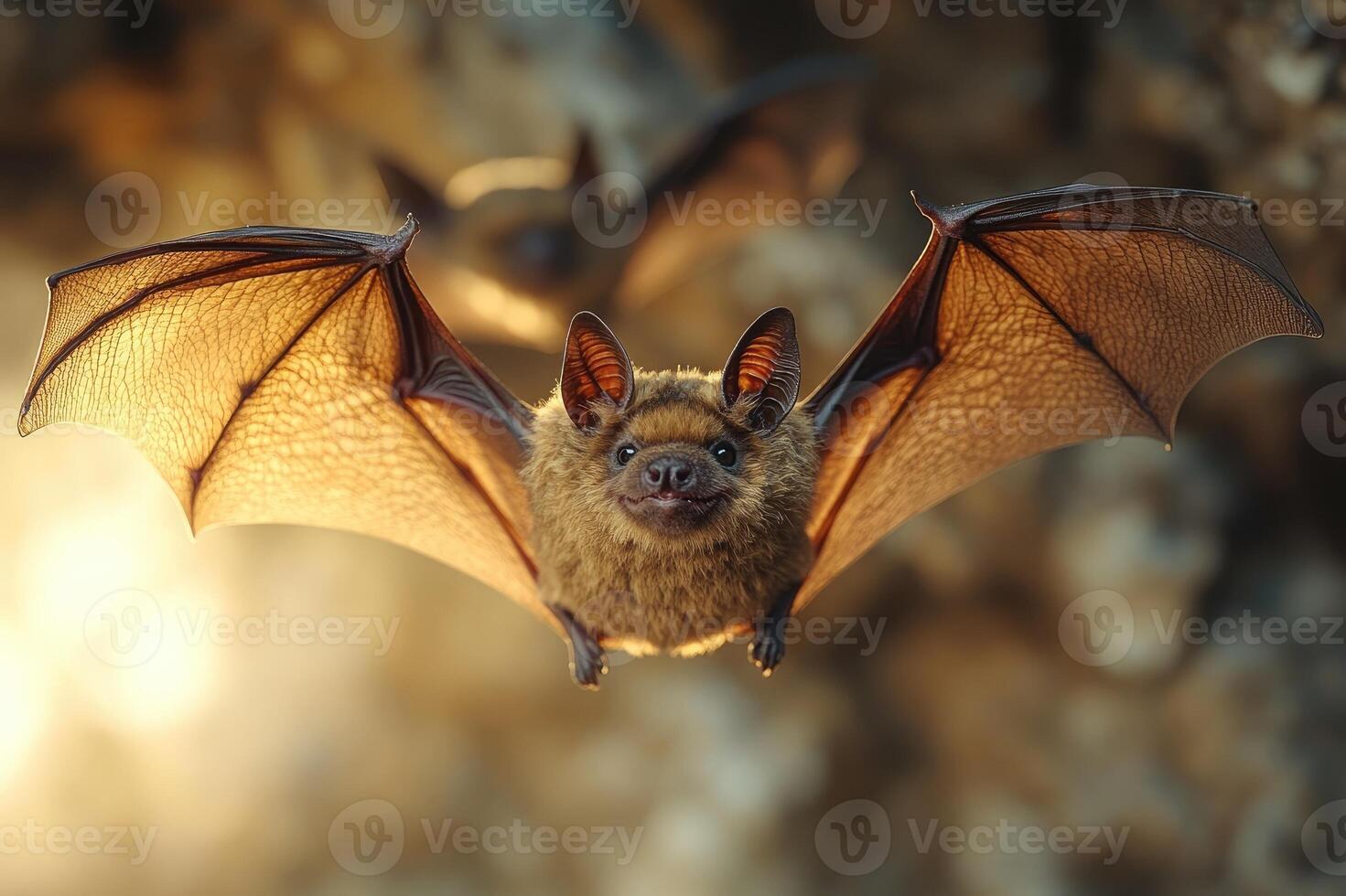 Brown bat showing large wings while sitting on a rock photo